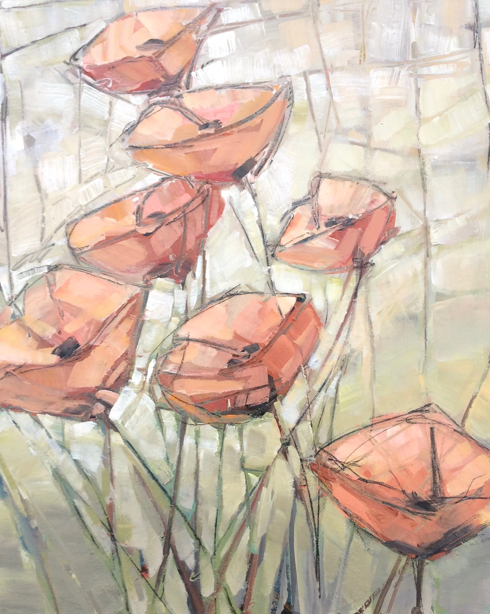 Seven Poppies 24x30