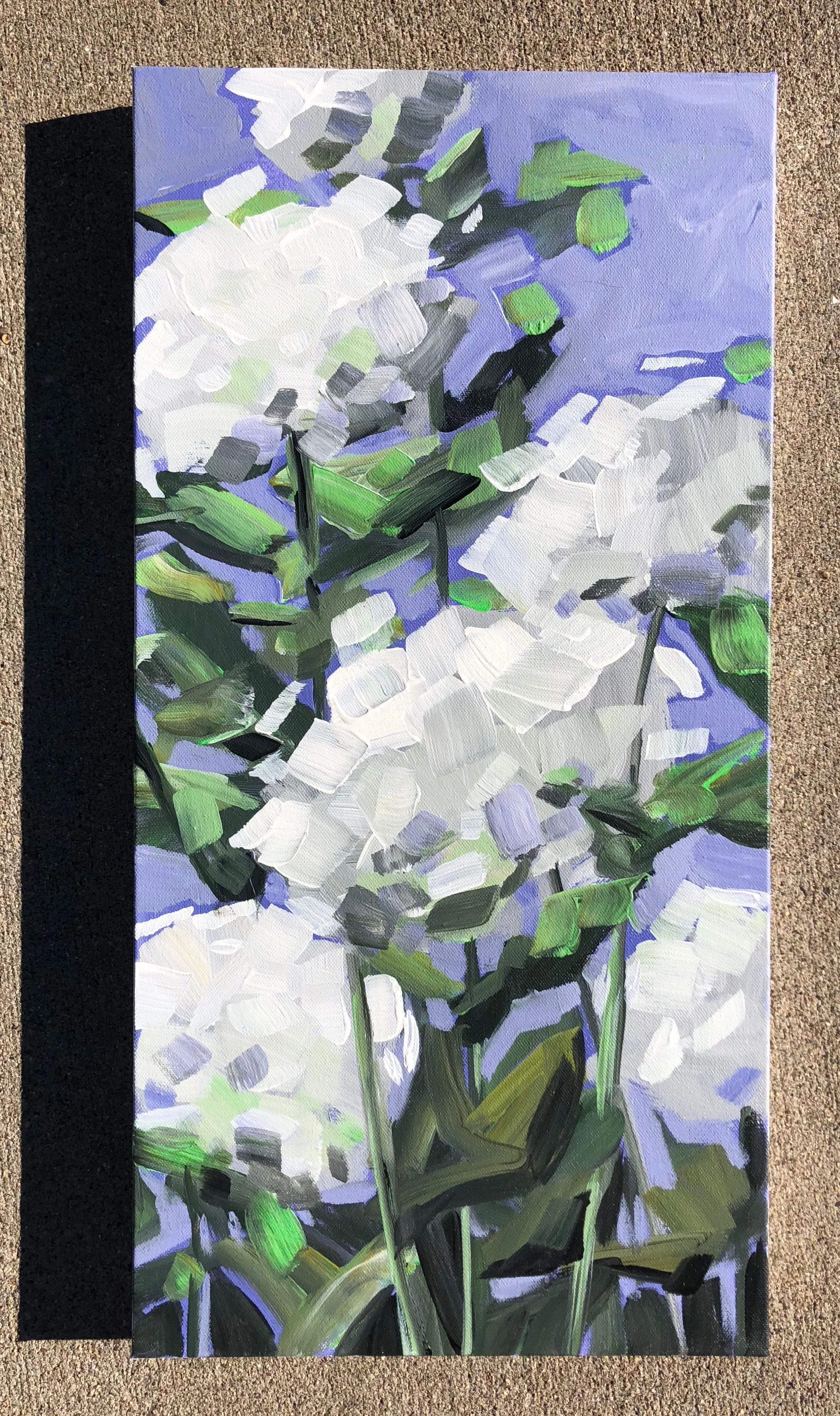 White Hydrangeas 2