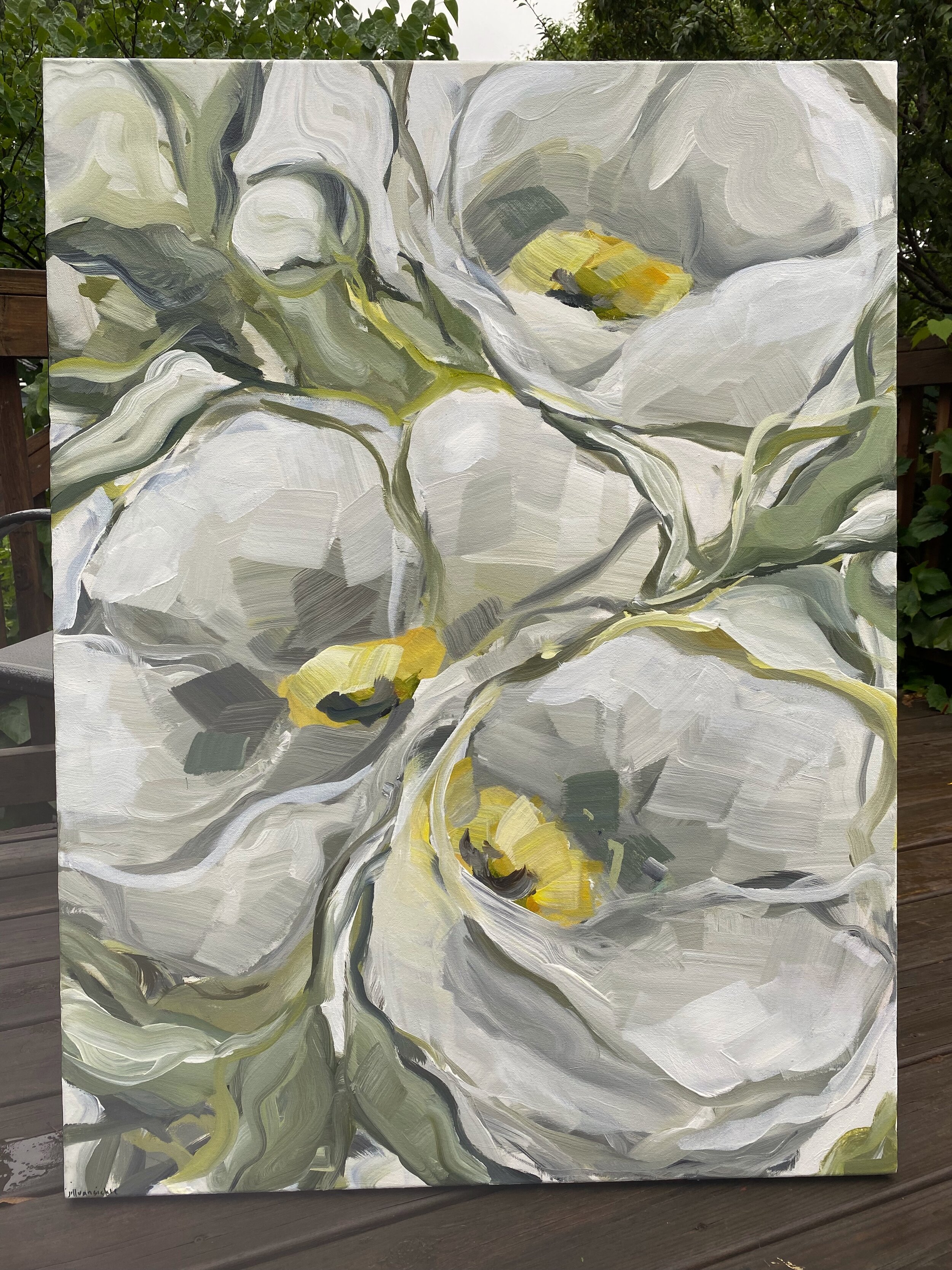White Poppies