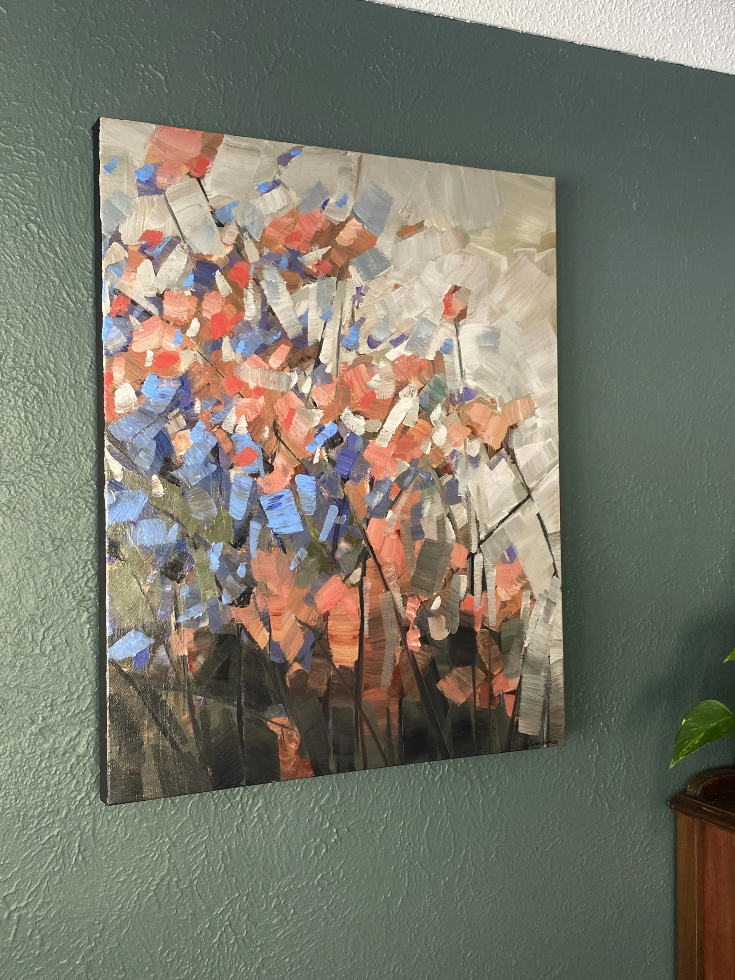 IMG_7474.jpeg