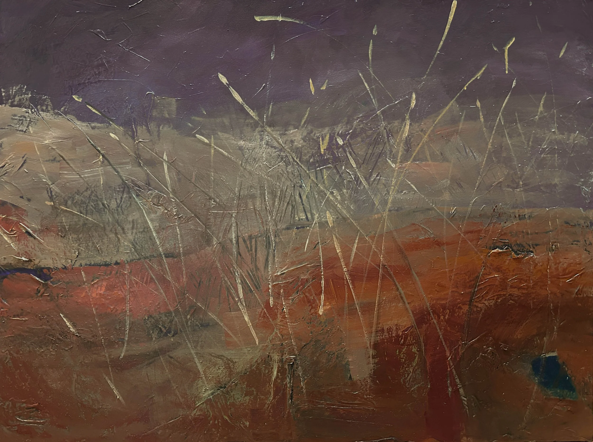 grasses and purple sky.jpg