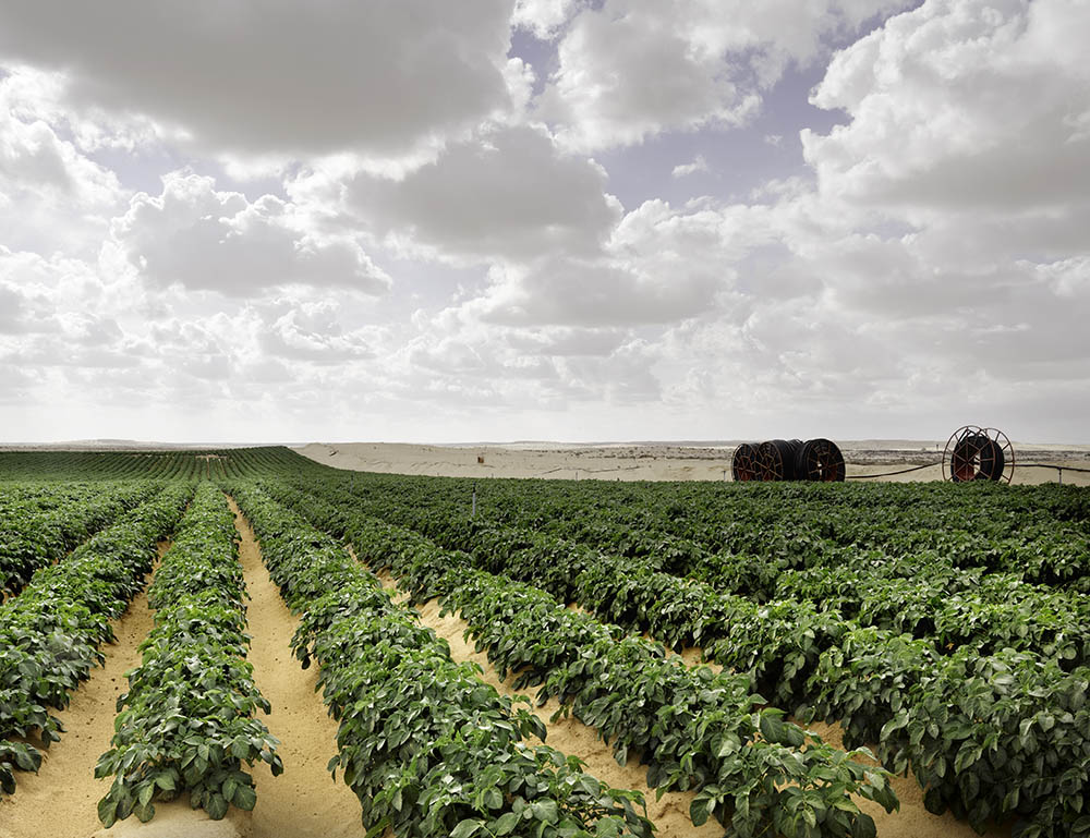 Cultivating crops in the Negev Desert, near Nitzana. Photo by and © 2016 Vision Studio