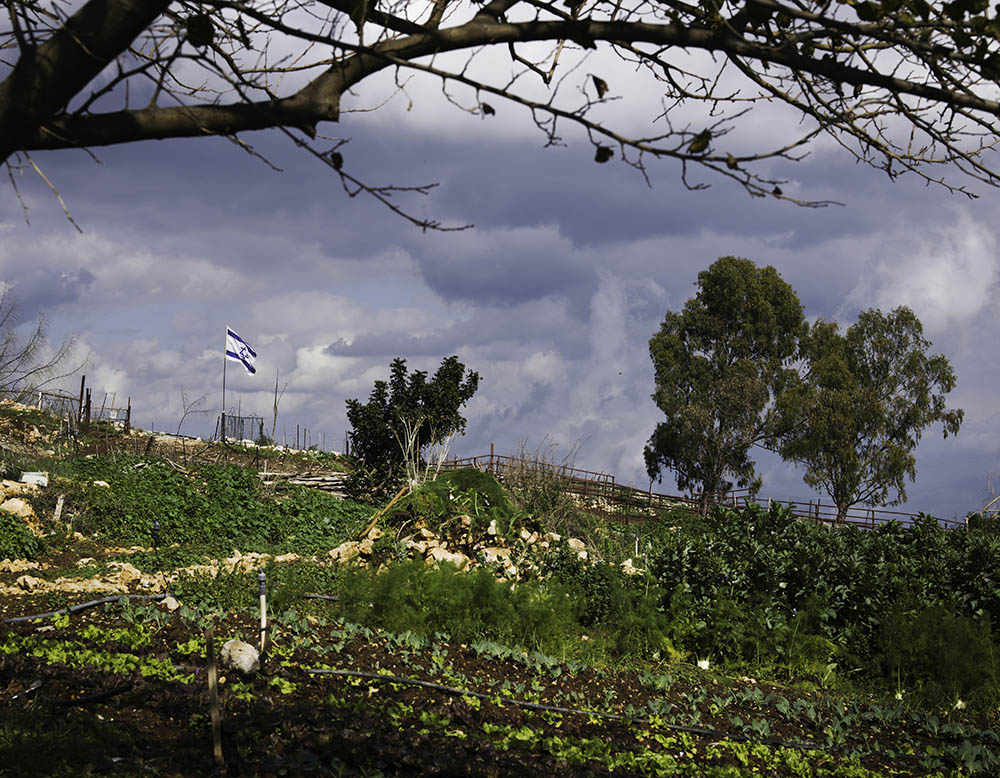 Organically grown crops at Mizpe Hayamim in a still from the film Mizpe Hayamim: A Retreat for Body and Soul.