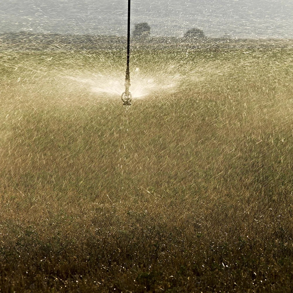 Although the country is nearly two-thirds desert, Israel has enough water to sustain itself, thanks in part to its efforts in water conservation, reuse, and desalination. Photo by and © Vision Studio