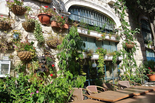 Lush, living facade of Eucalyptus Restaurant. Photo by Christina Garofalo, courtesy
96
Normal
0
false
false
false
EN-US
X-NONE
X-NONE
/* Style Definitions */
table.MsoNormalTable
{mso-style-name:"Table Normal";
mso-tstyle-rowband-size:0;
mso-tstyle-colband-size:0;
mso-style-noshow:yes;
mso-style-priority:99;
mso-style-parent:"";
mso-padding-alt:0in 5.4pt 0in 5.4pt;
mso-para-margin:0in;
mso-para-margin-bottom:.0001pt;
mso-pagination:widow-orphan;
font-size:12.0pt;
font-family:Calibri;
mso-ascii-font-family:Calibri;
mso-ascii-theme-font:minor-latin;
mso-hansi-font-family:Calibri;
mso-hansi-theme-font:minor-latin;}
Creative Commons