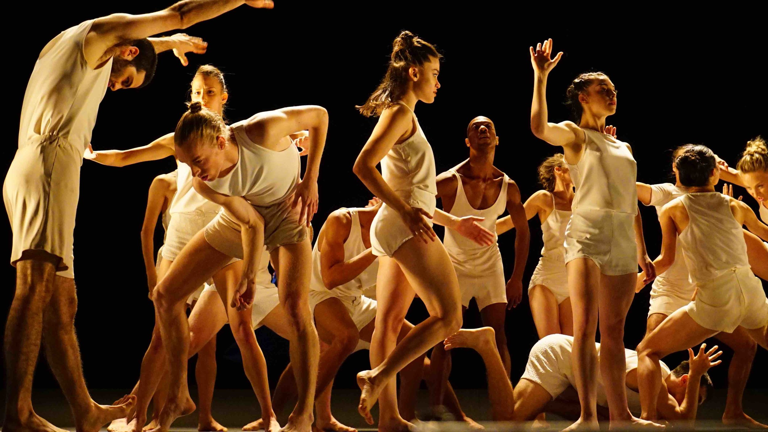 Ohad Naharin's "Last Work". Photo by Gadi Dagon, courtesy Batsheva Dance Company