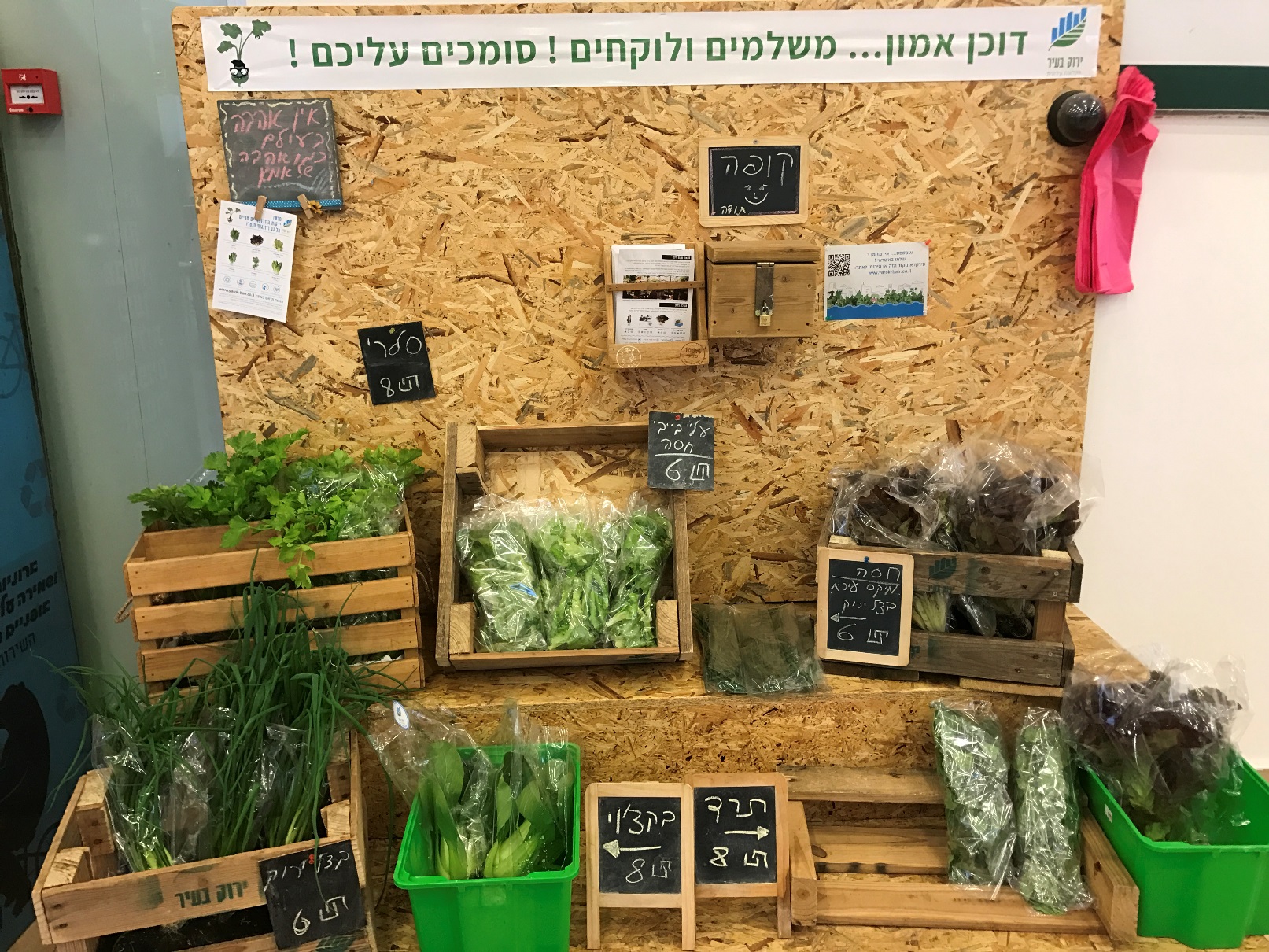 Farm stands at the Dizengoff Center sell rooftop veggies. Photo by Viva Sarah Press