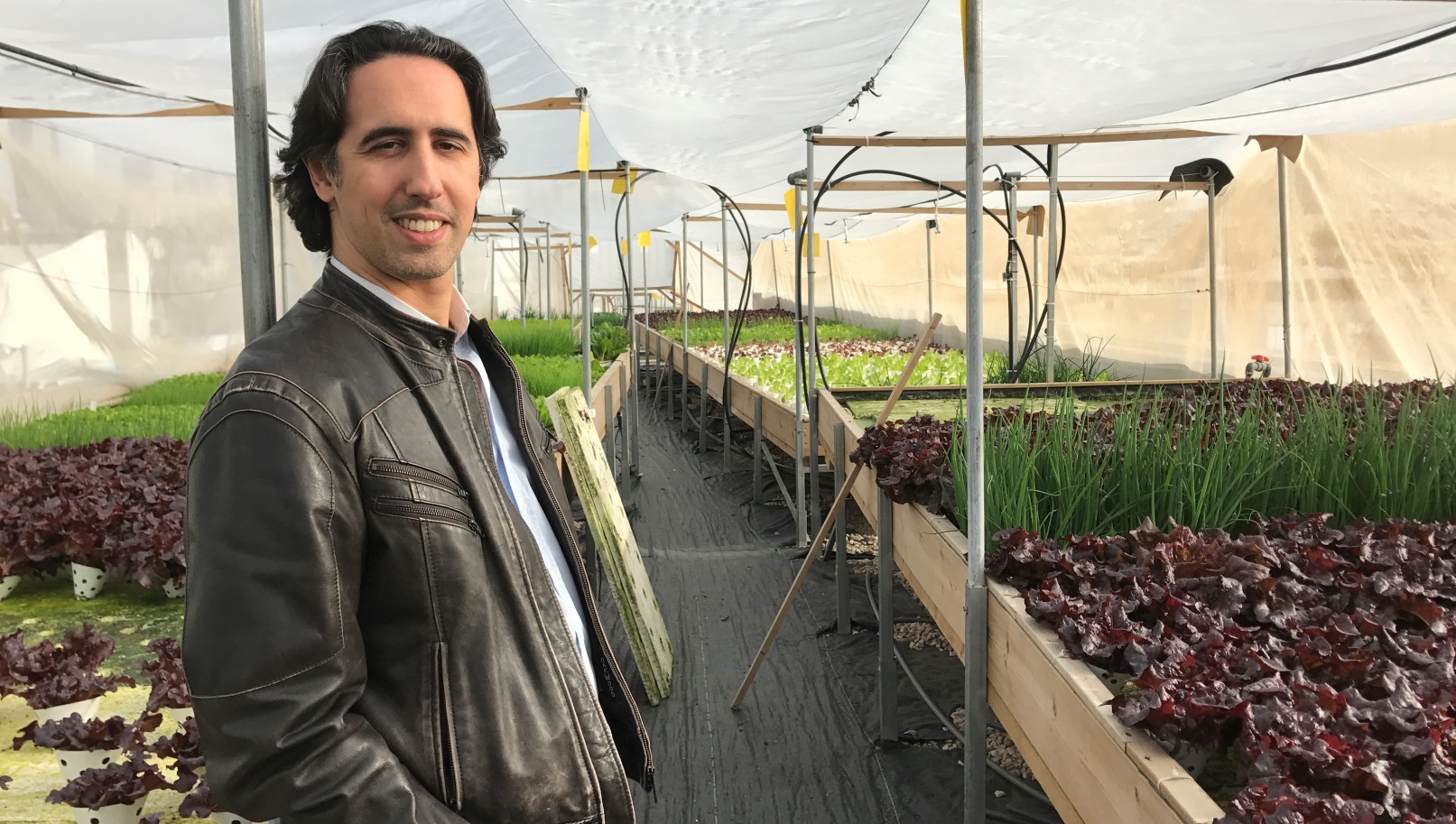 Yoav Sharon in the Green in the City garden. Photo by Viva Sarah Press