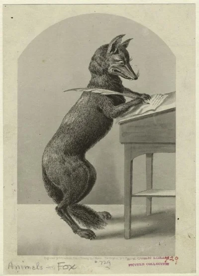 Fox Writing.jpg