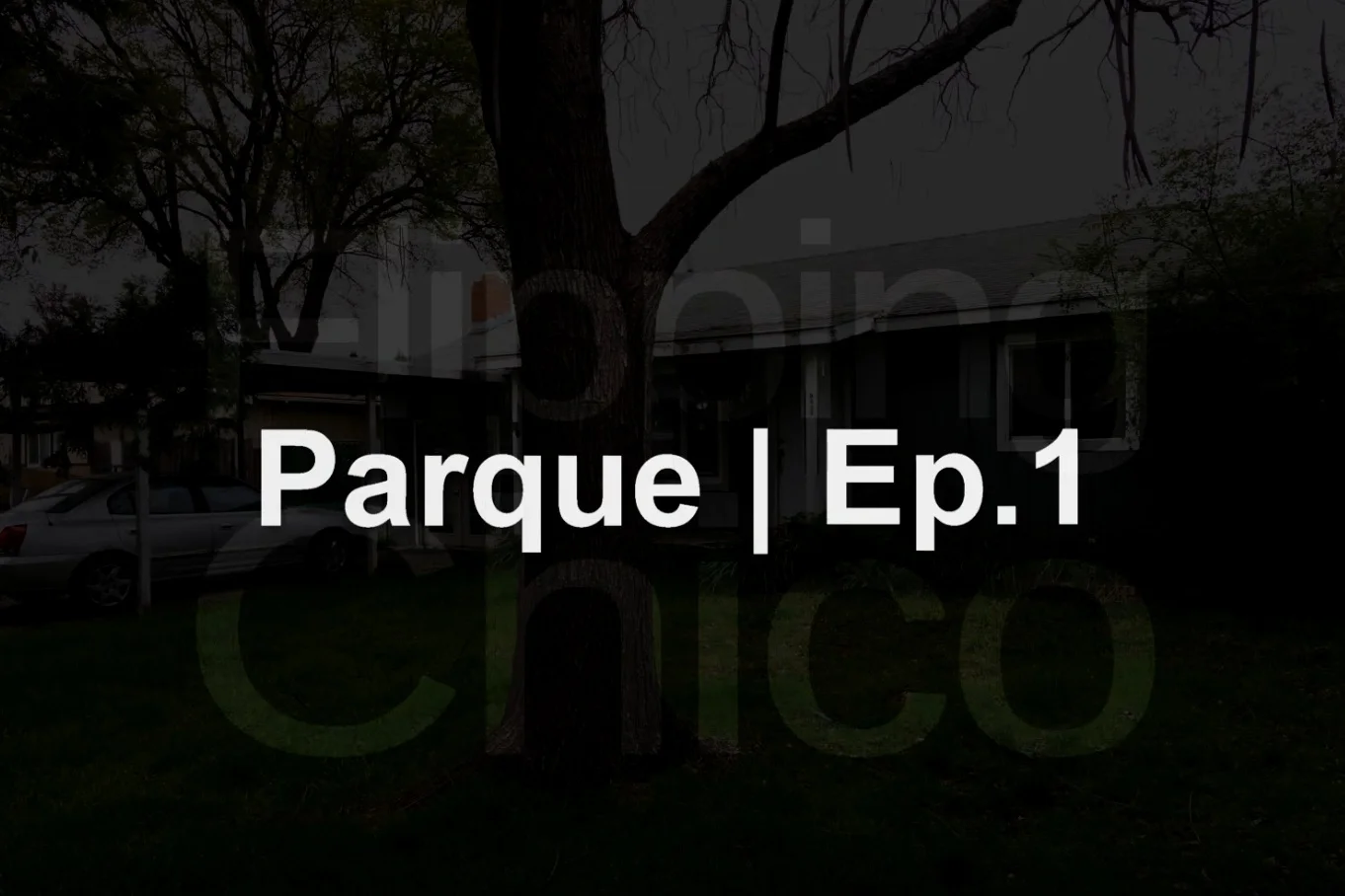 Parque Drive House Before Renovation