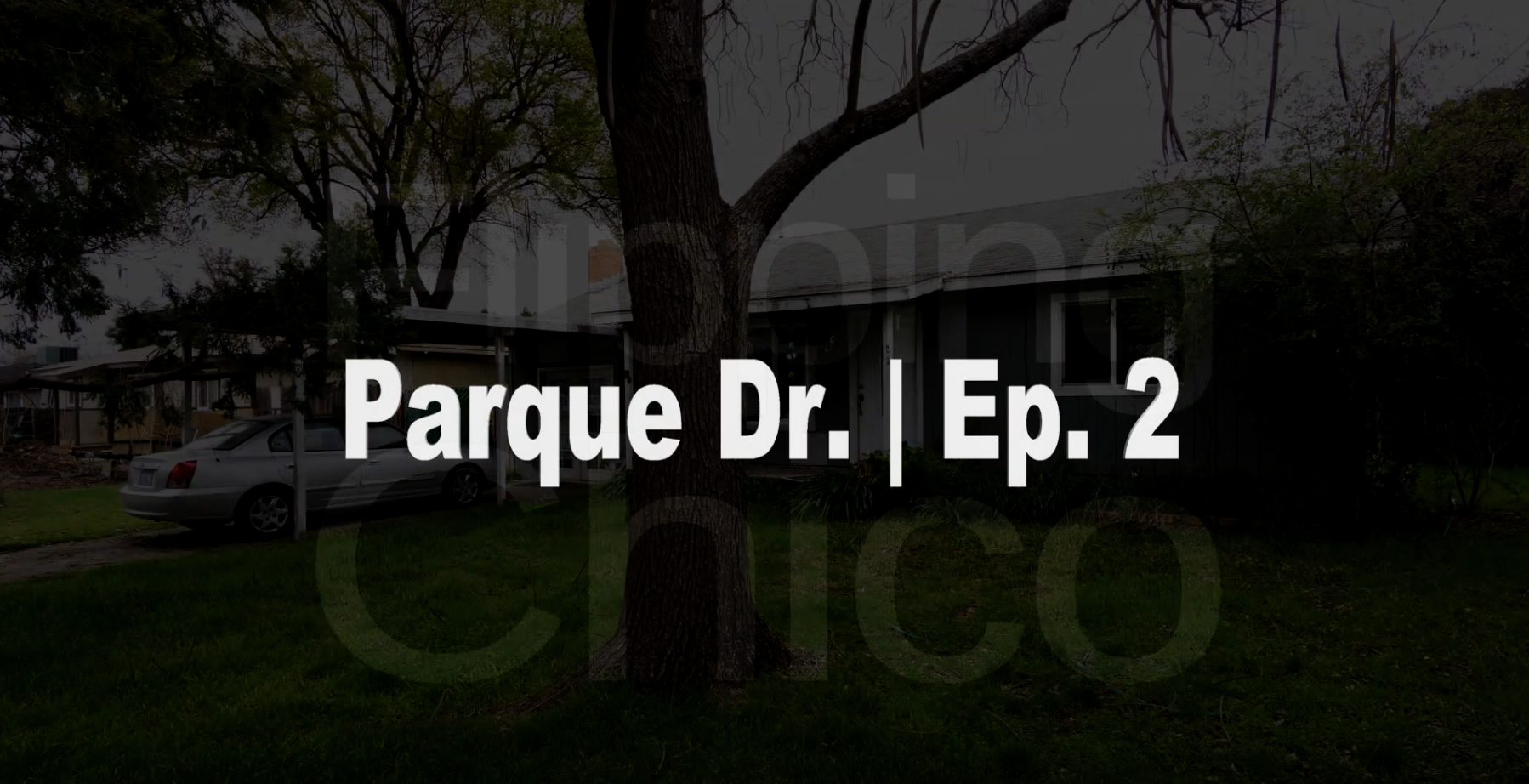 Parque Drive House After Renovation