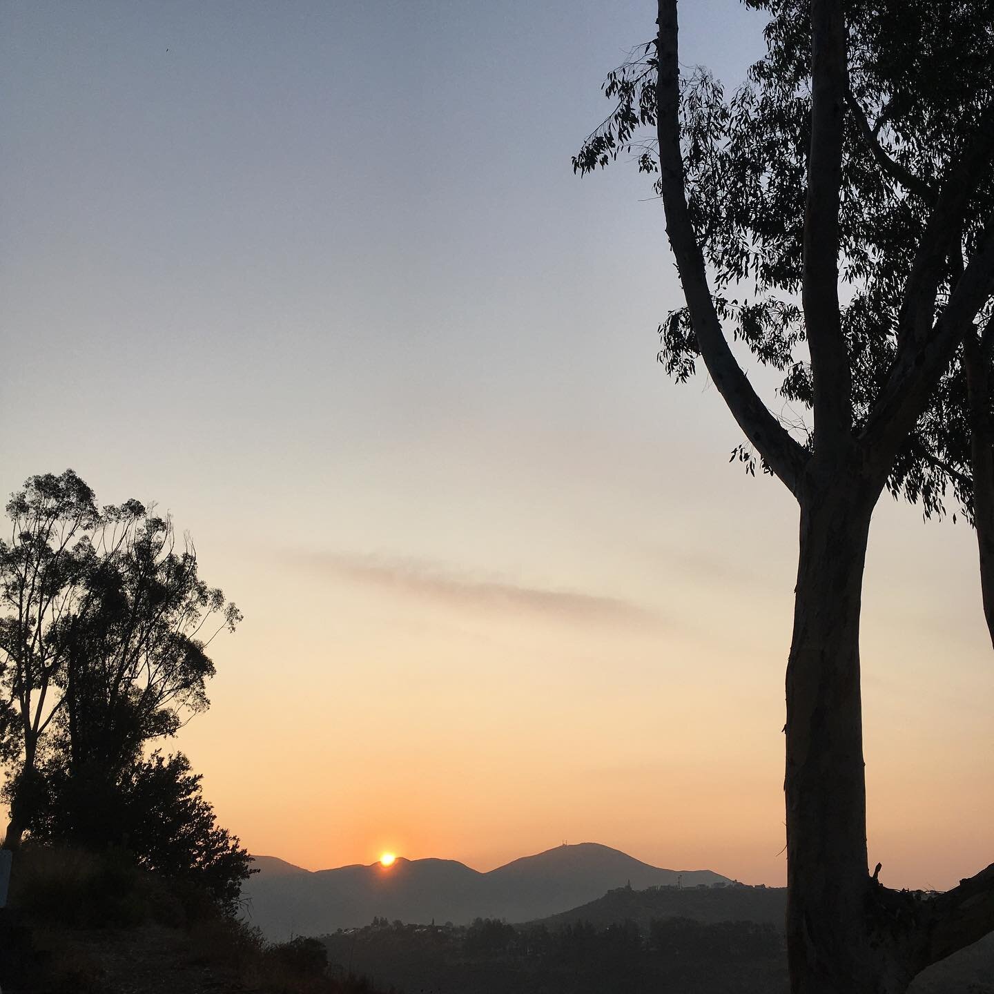 The outdoors provides the sanctuary I always needed as a daughter of immigrants. 

Stay tuned as I write a story about my love affair with nature. Photo of a sunrise as I run intervals uphill. 
.
.
.
.
#travel #sustainability #sunriseoftheday #health