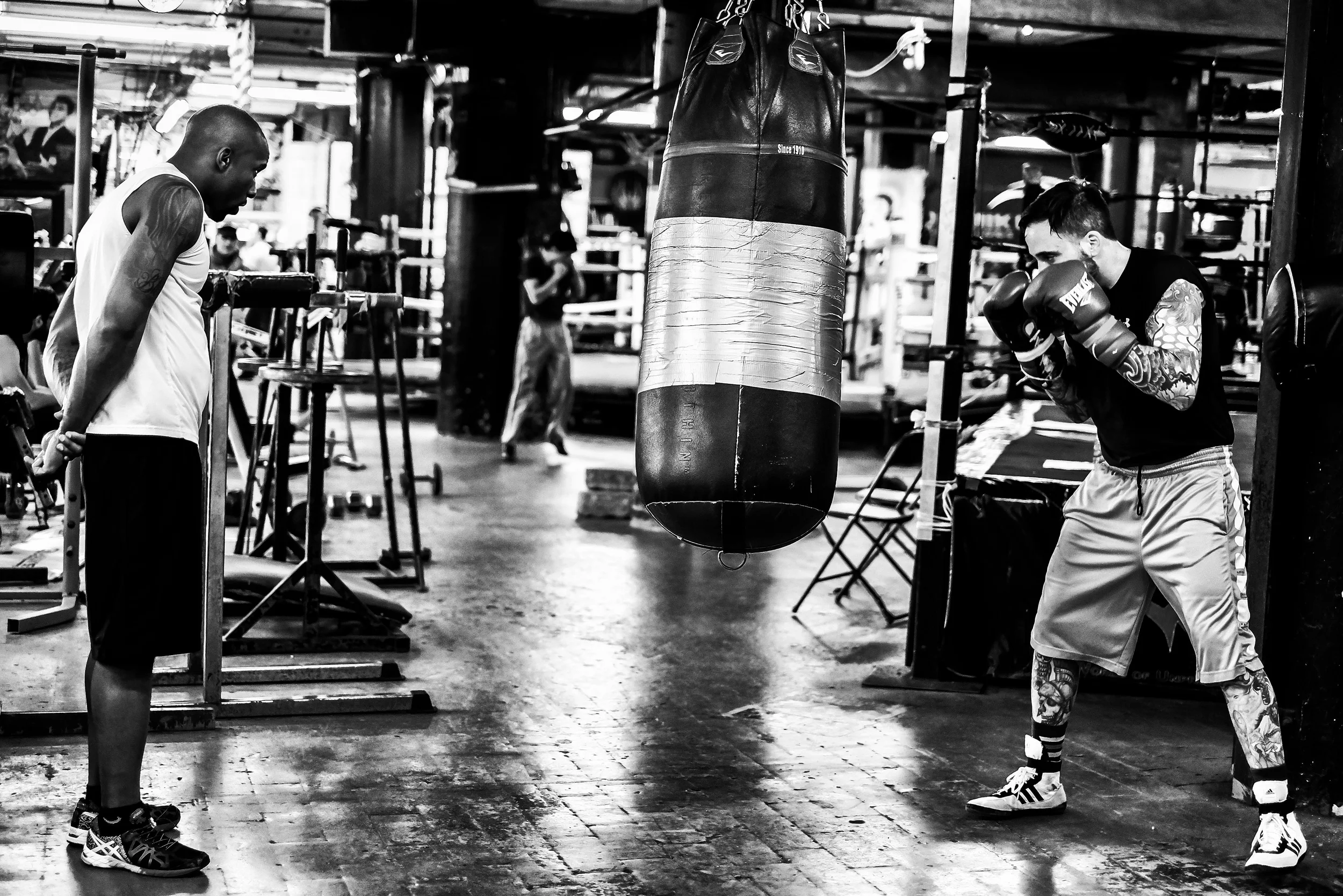 Gallery — jscott boxing