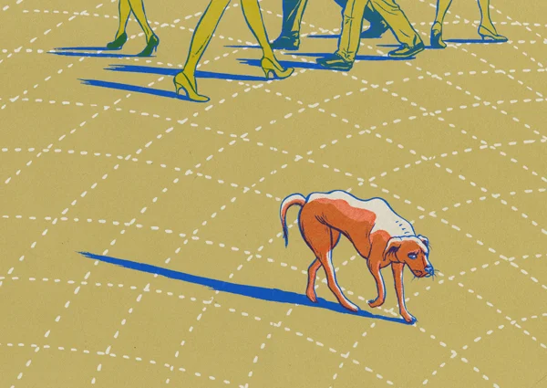 Bookproject_thestraydog_spread2.jpg