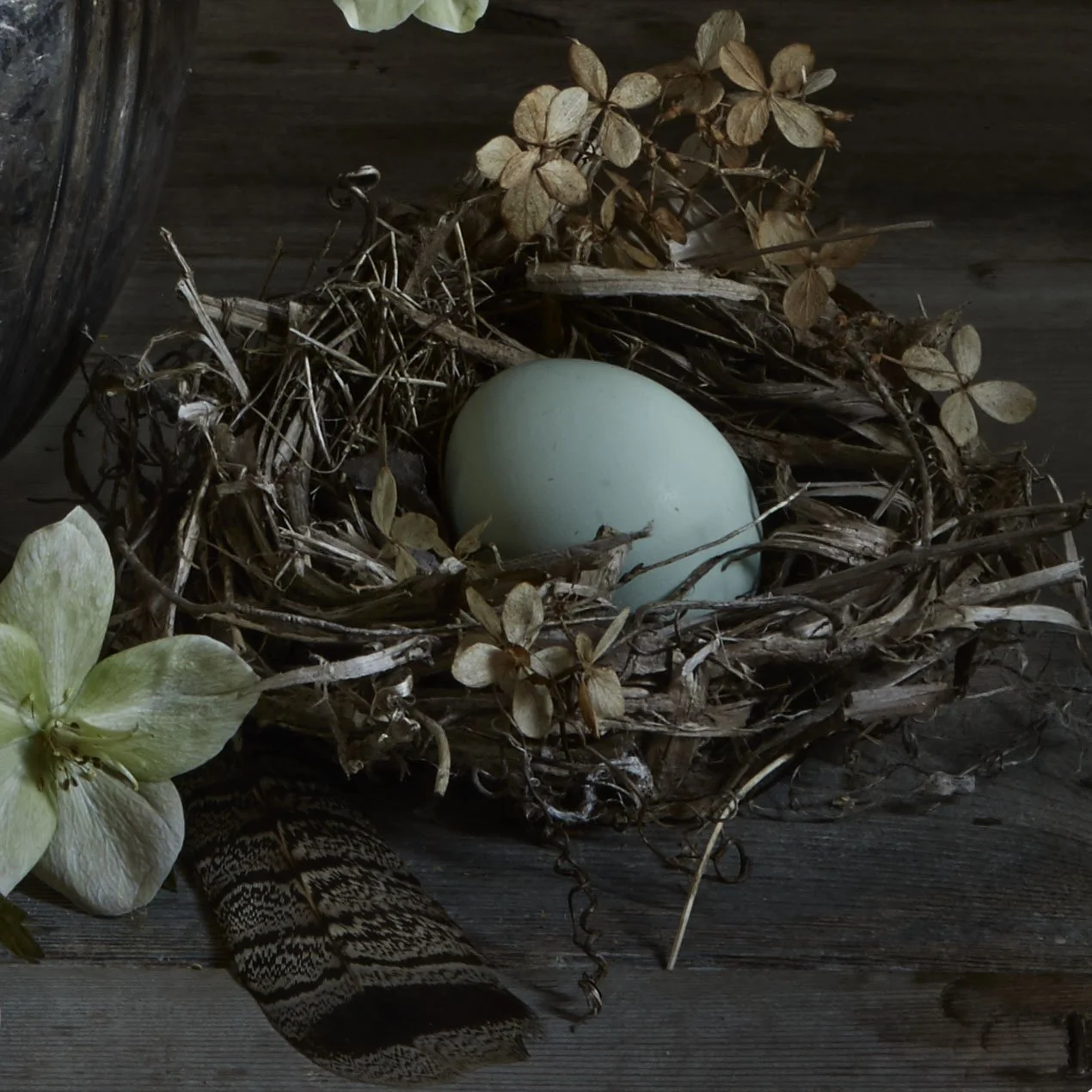 K.Sjaarda_CS#9_Hellebore&BlueEgg_detail1.JPG