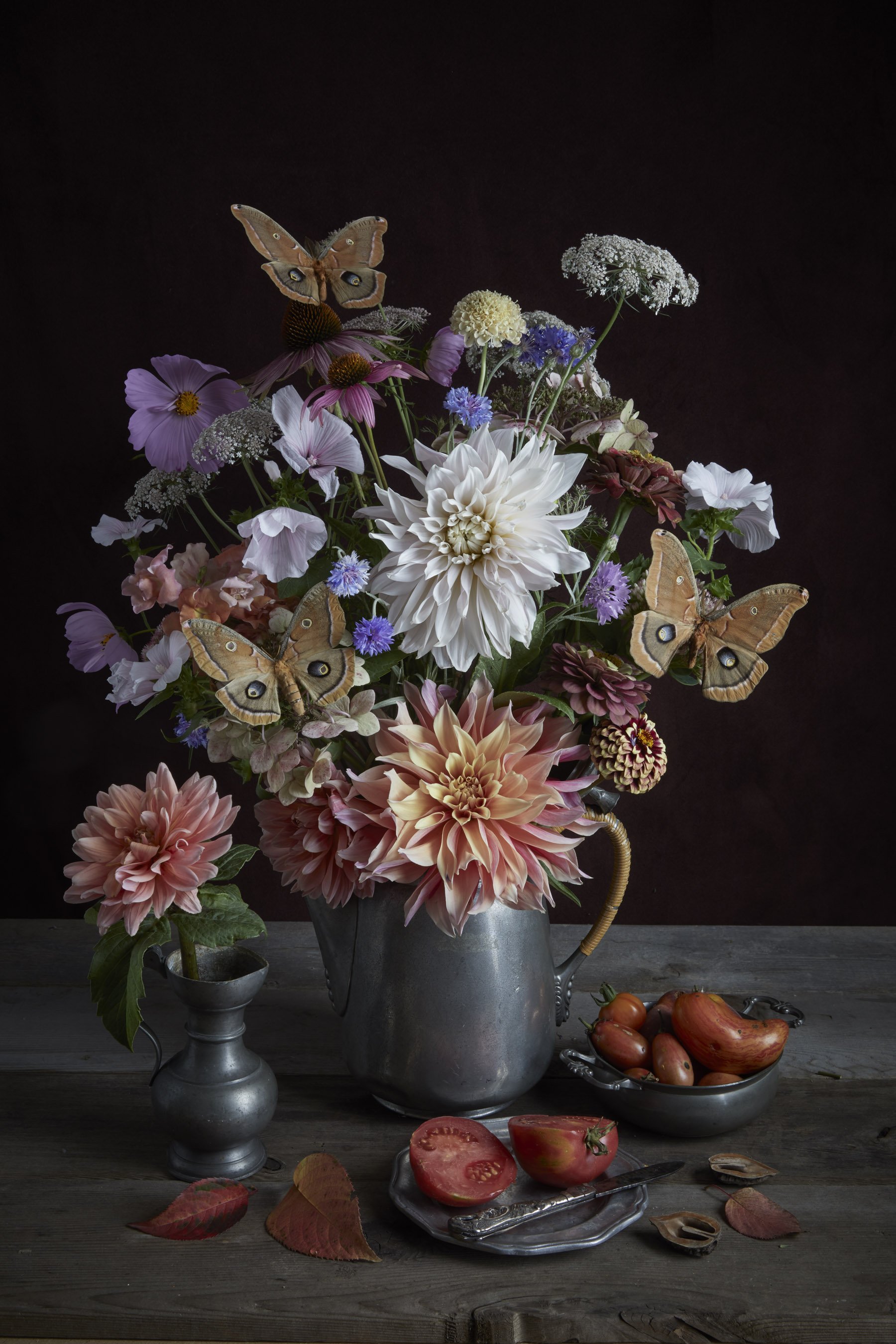 Sphinx Moth &amp; Dahlia 2018