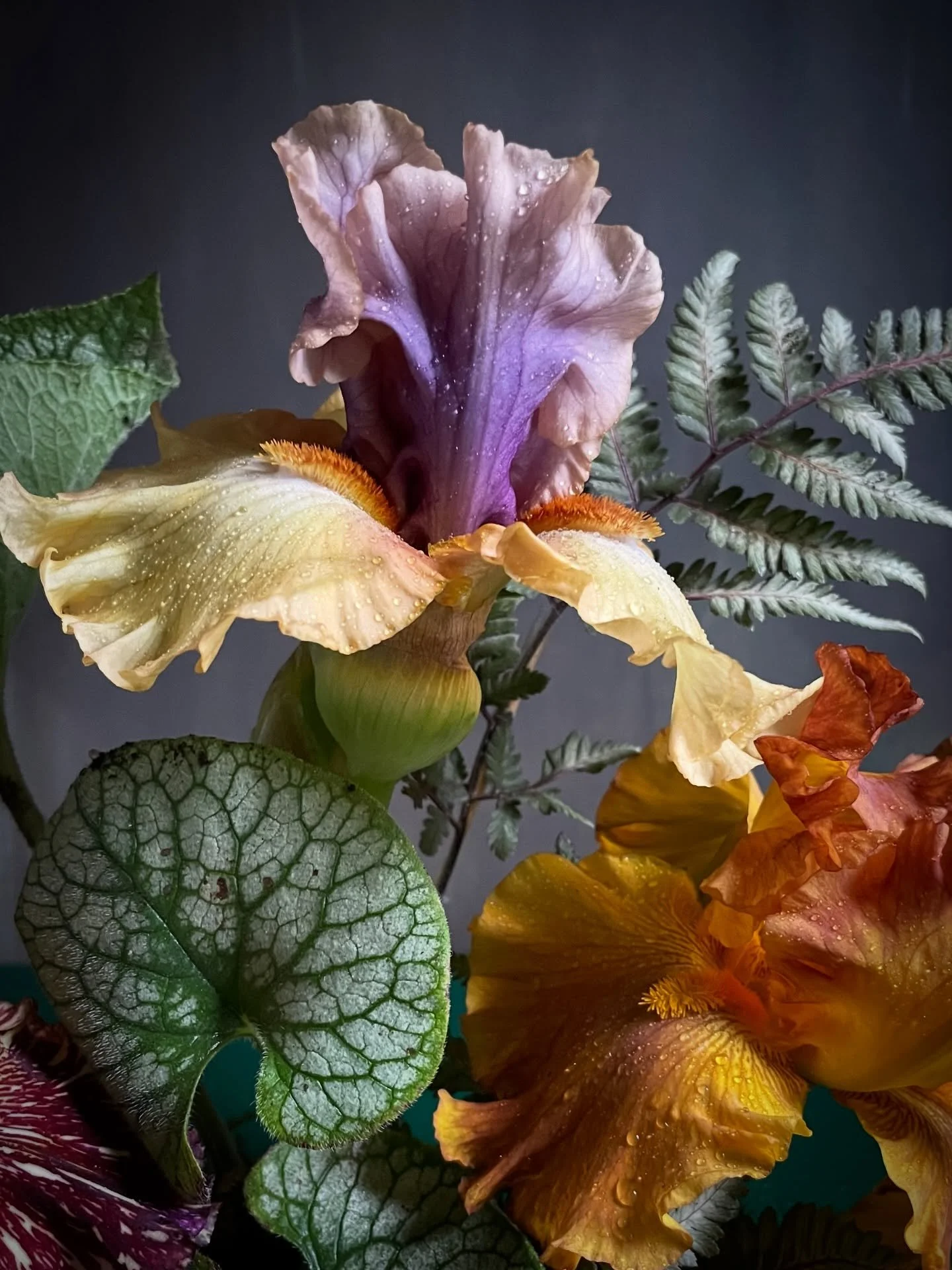 41 hours til the solstice.