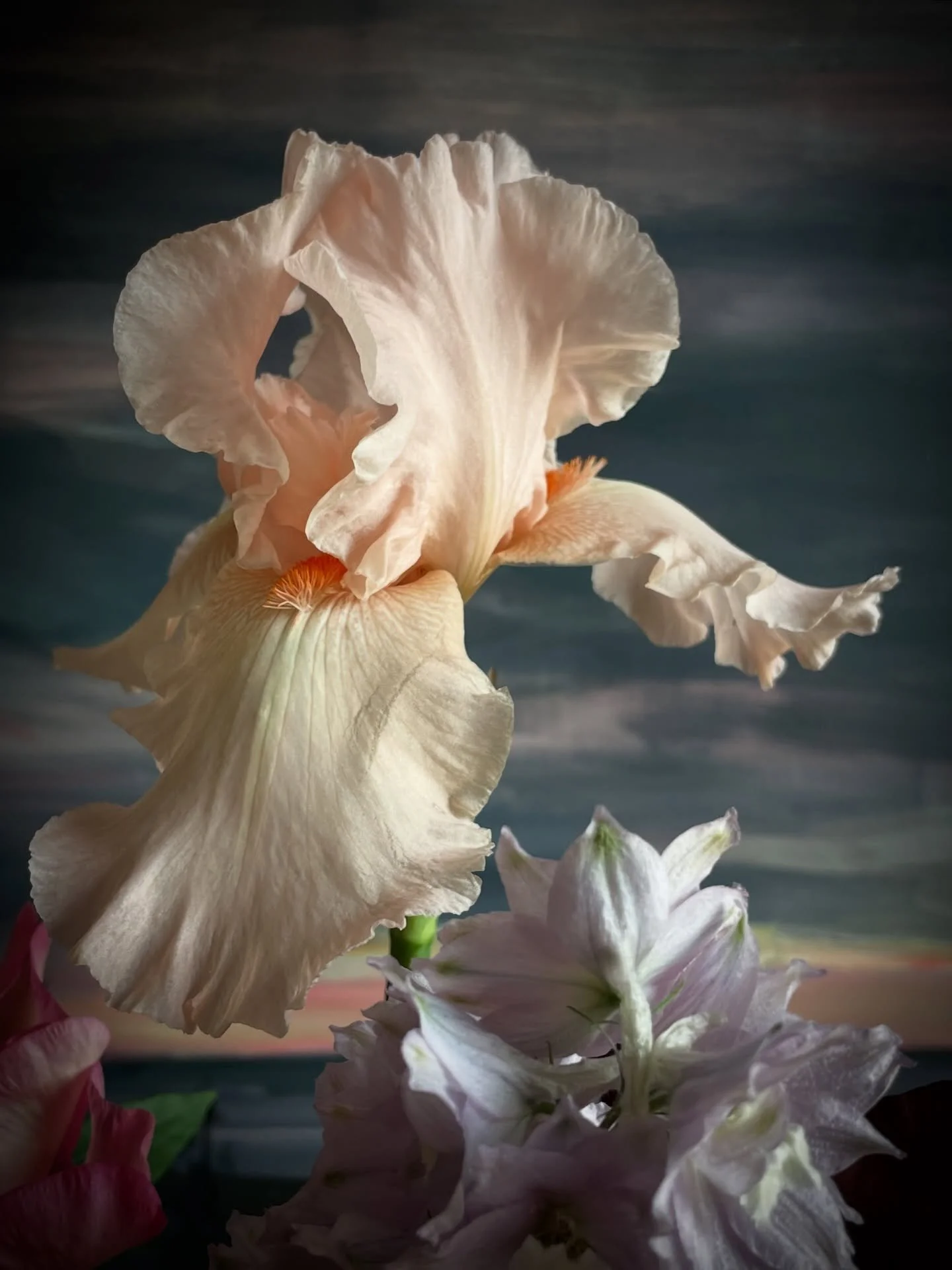 May the longest night of the year be cozy and warm for you and those you love.