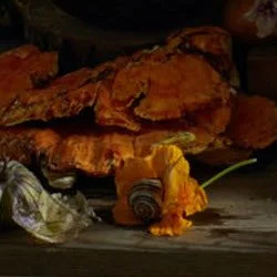 Roses,Dahlia&Gourds_detail1.jpg