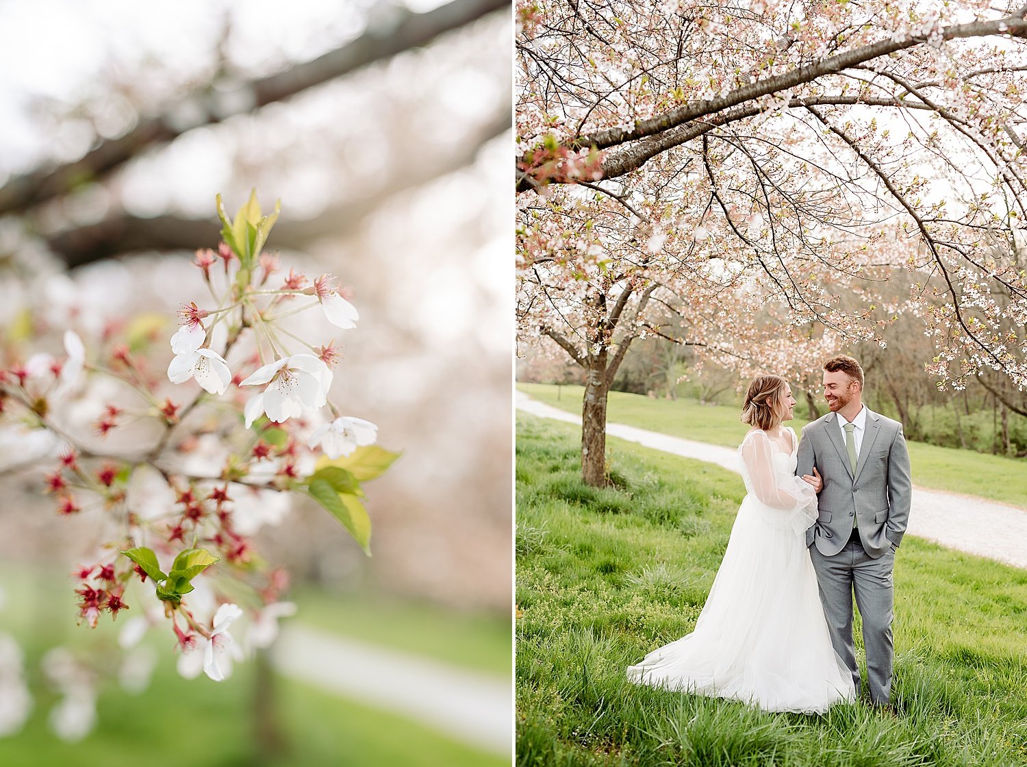 Spring_Elopement_Portraits_0002.jpg