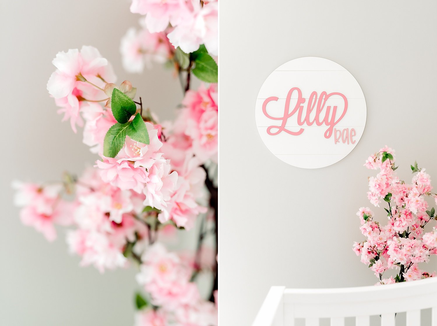 Pretty_in_Pink_Nursery_Newborn_Session_0003.jpg