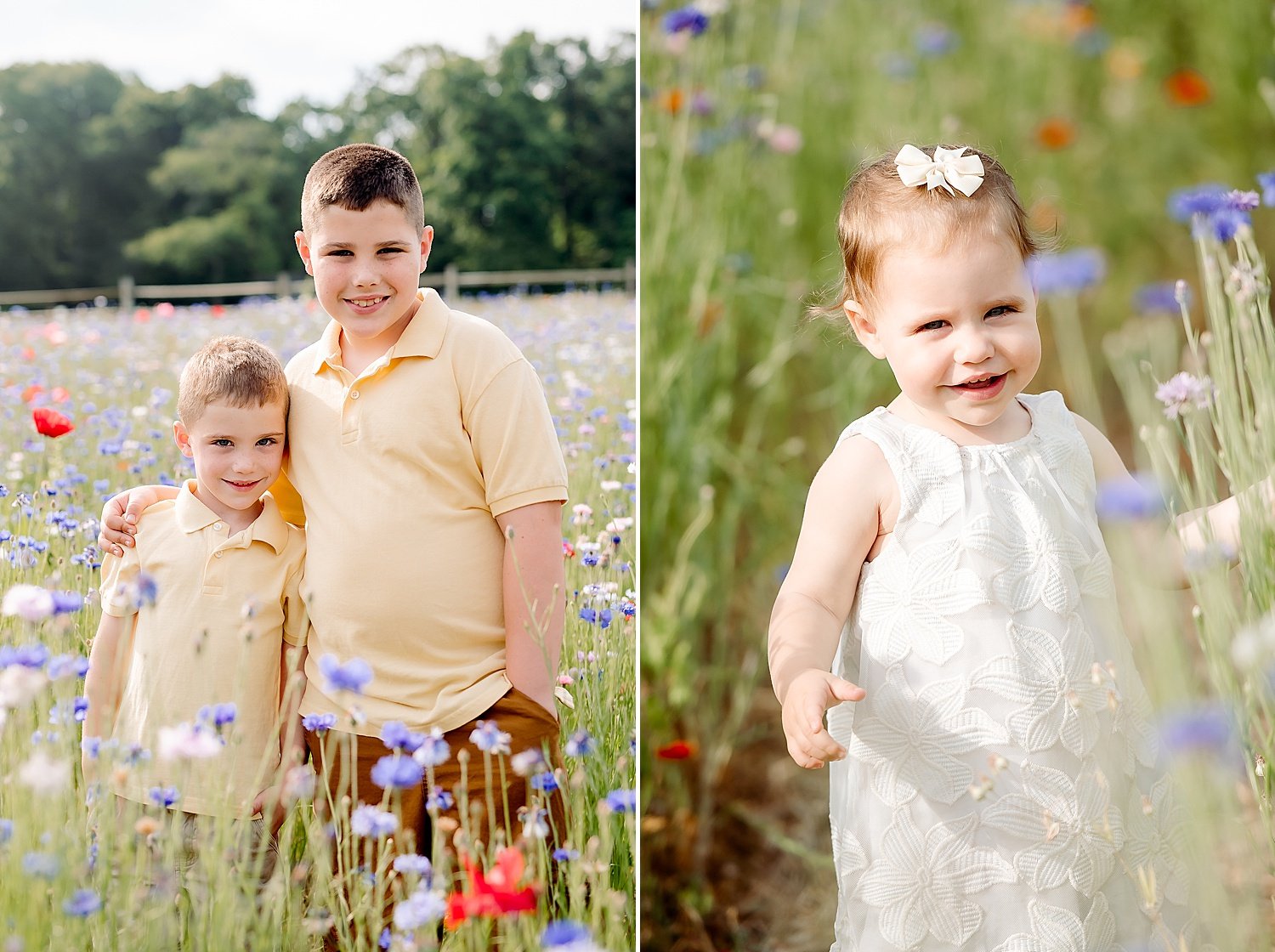 Wildflower_Lookout_Lancaster_PA_Summer_Family_Session_0008.jpg