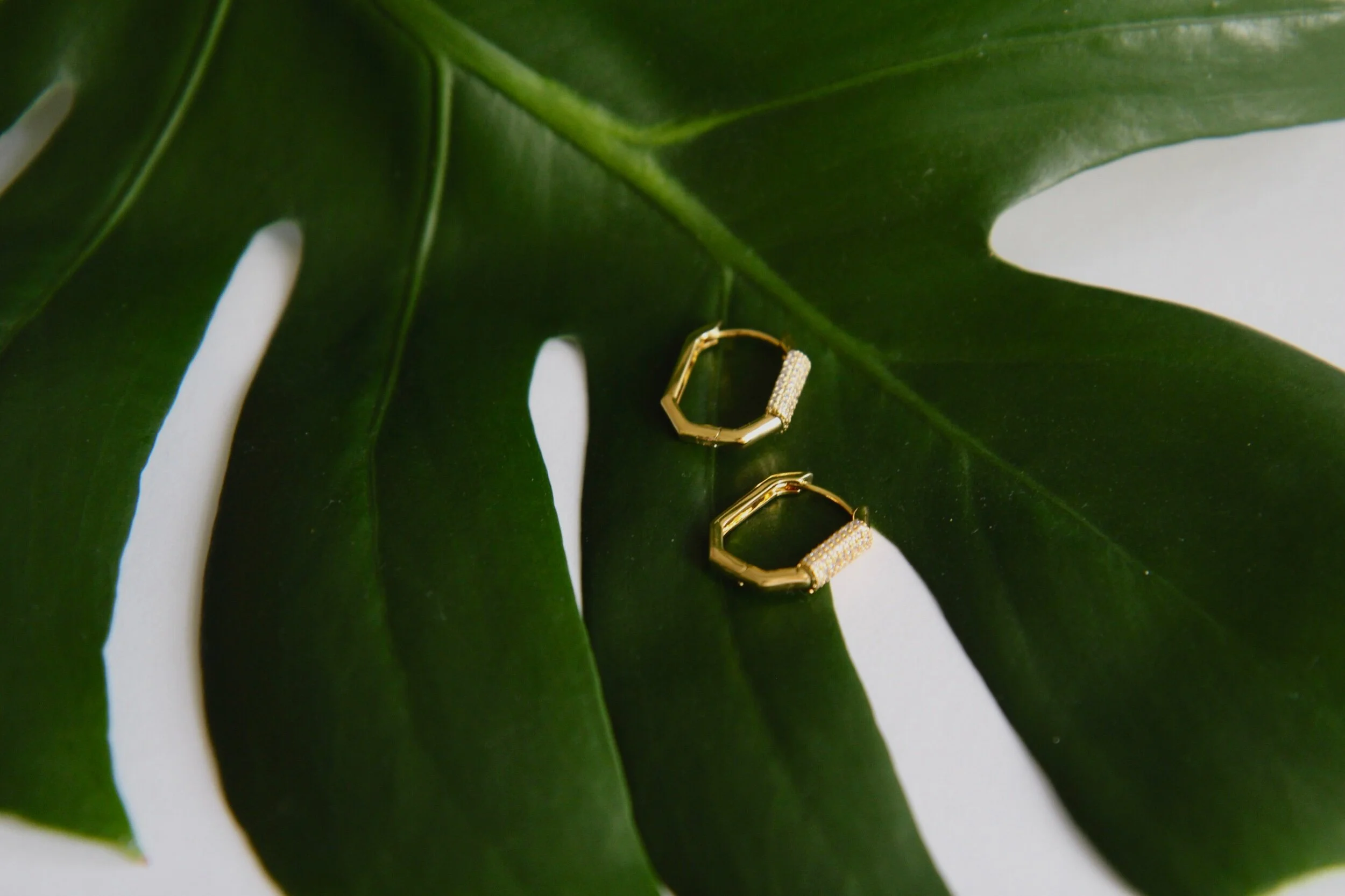 19C73424-5288-45F9-94BB-9D9599B5E3DA