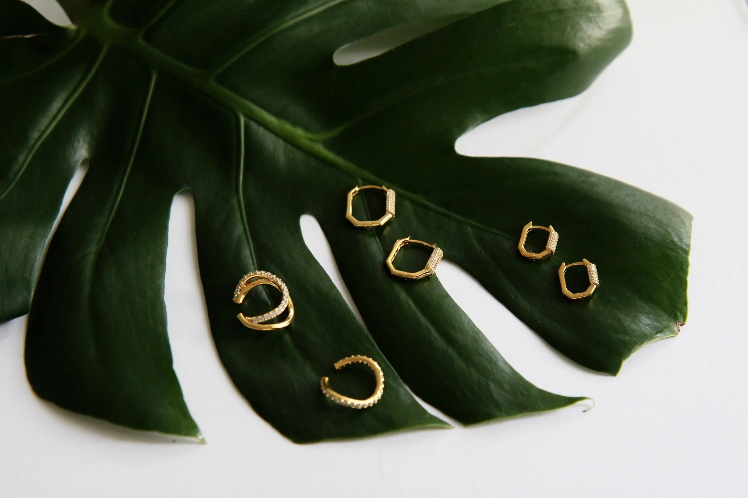 12590639-2482-42EB-802E-833321E3A0E5