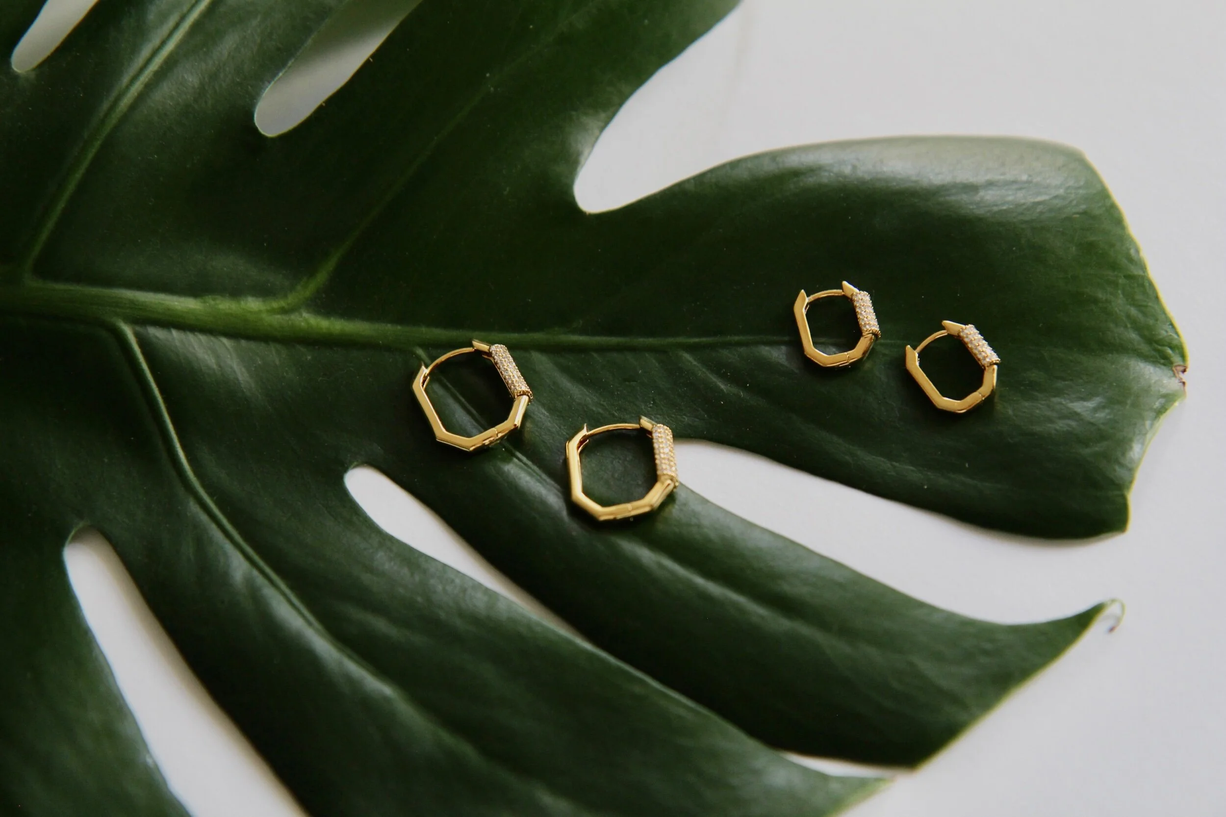 5036D080-A1D8-4EE1-BC17-9834EFCA683B