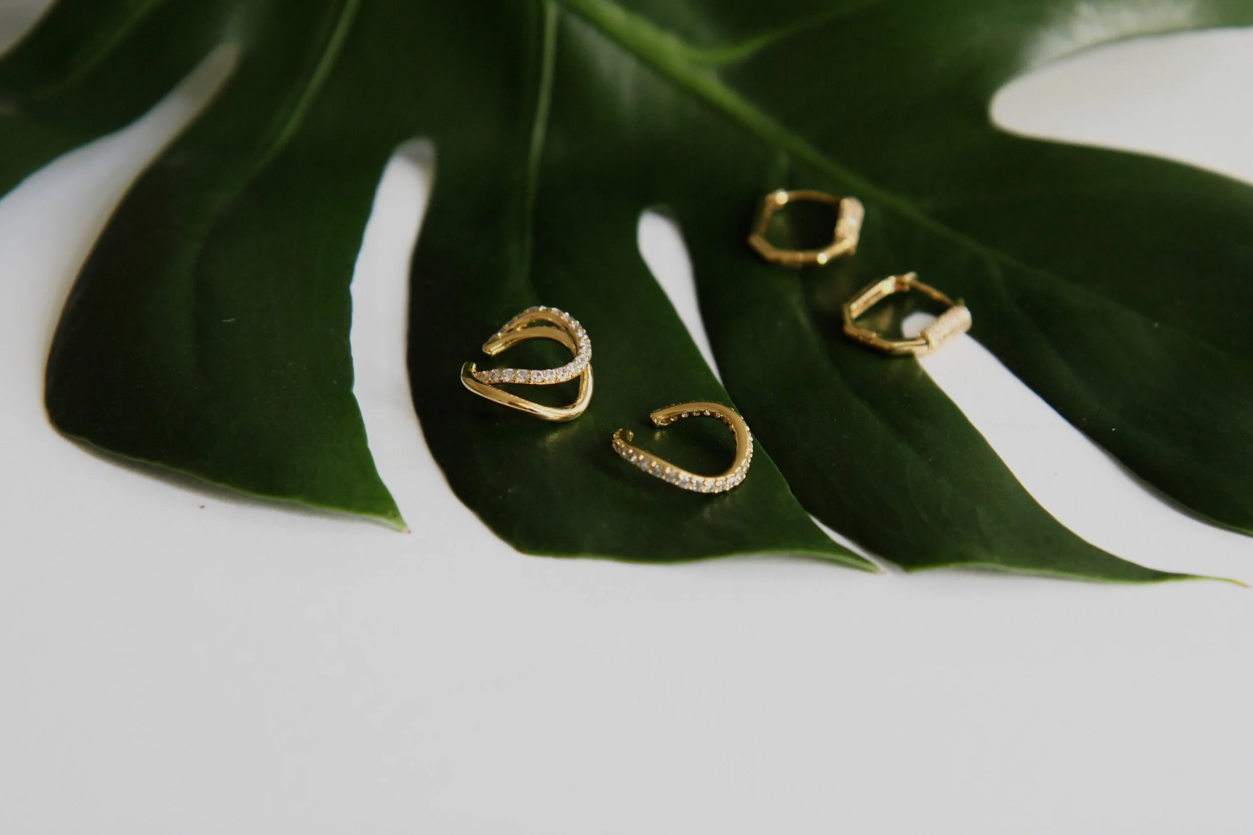 C98DBC28-0E2F-45FA-98B9-BD1DCCC4B1AD