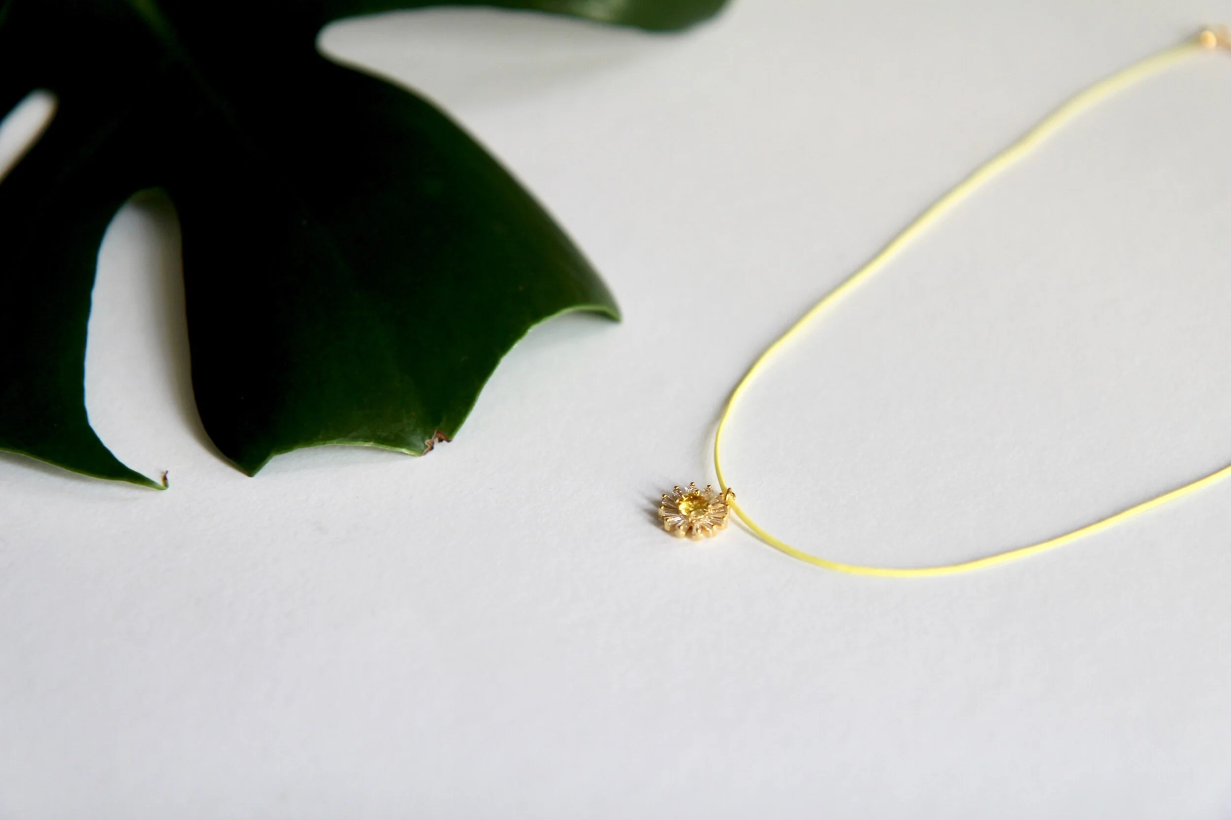 6AAFA9D9-C862-42EC-91AF-5C4A39977CA4