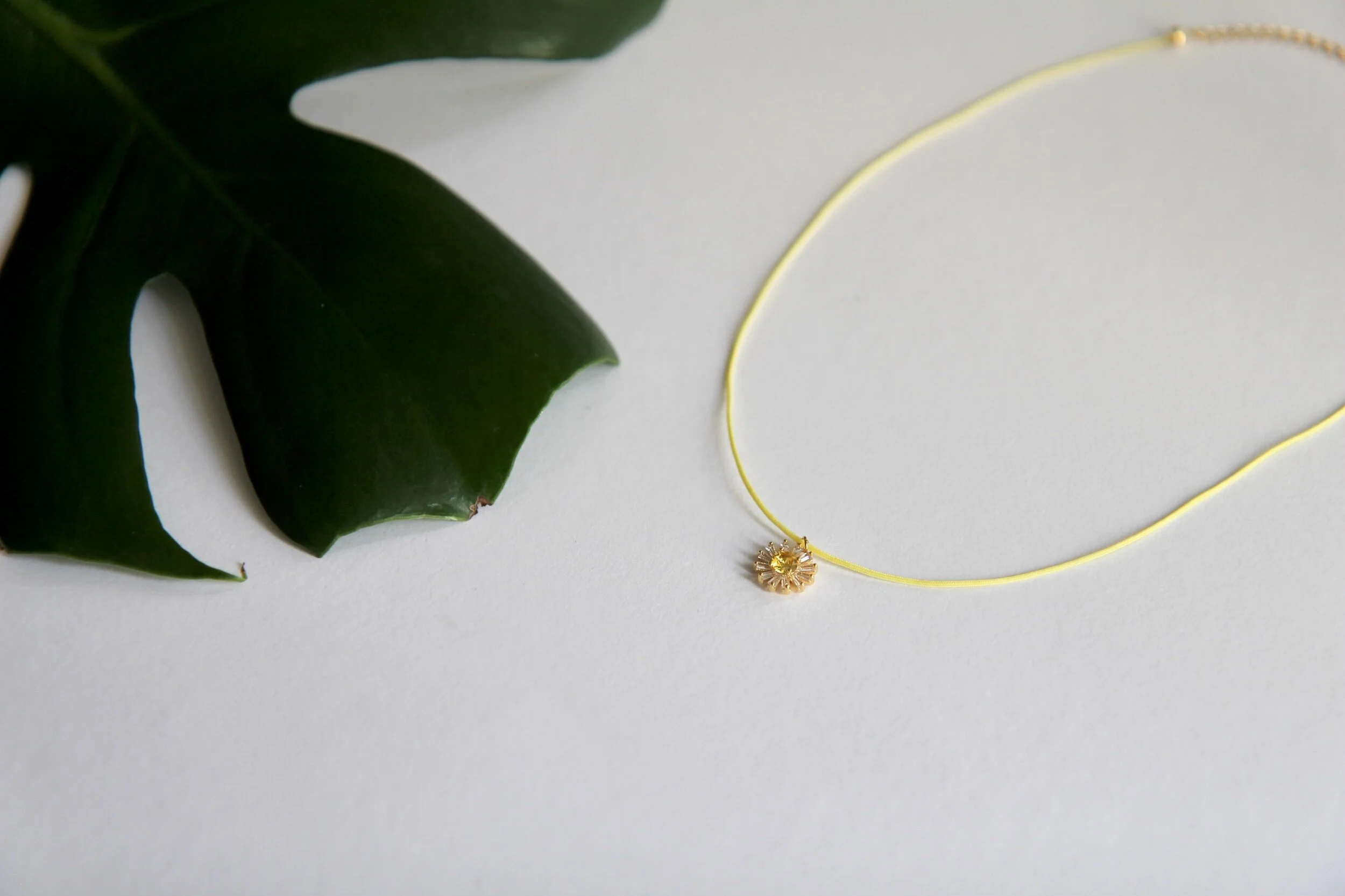 74A62168-A06B-4198-AAA0-3A6B5A5C42B0