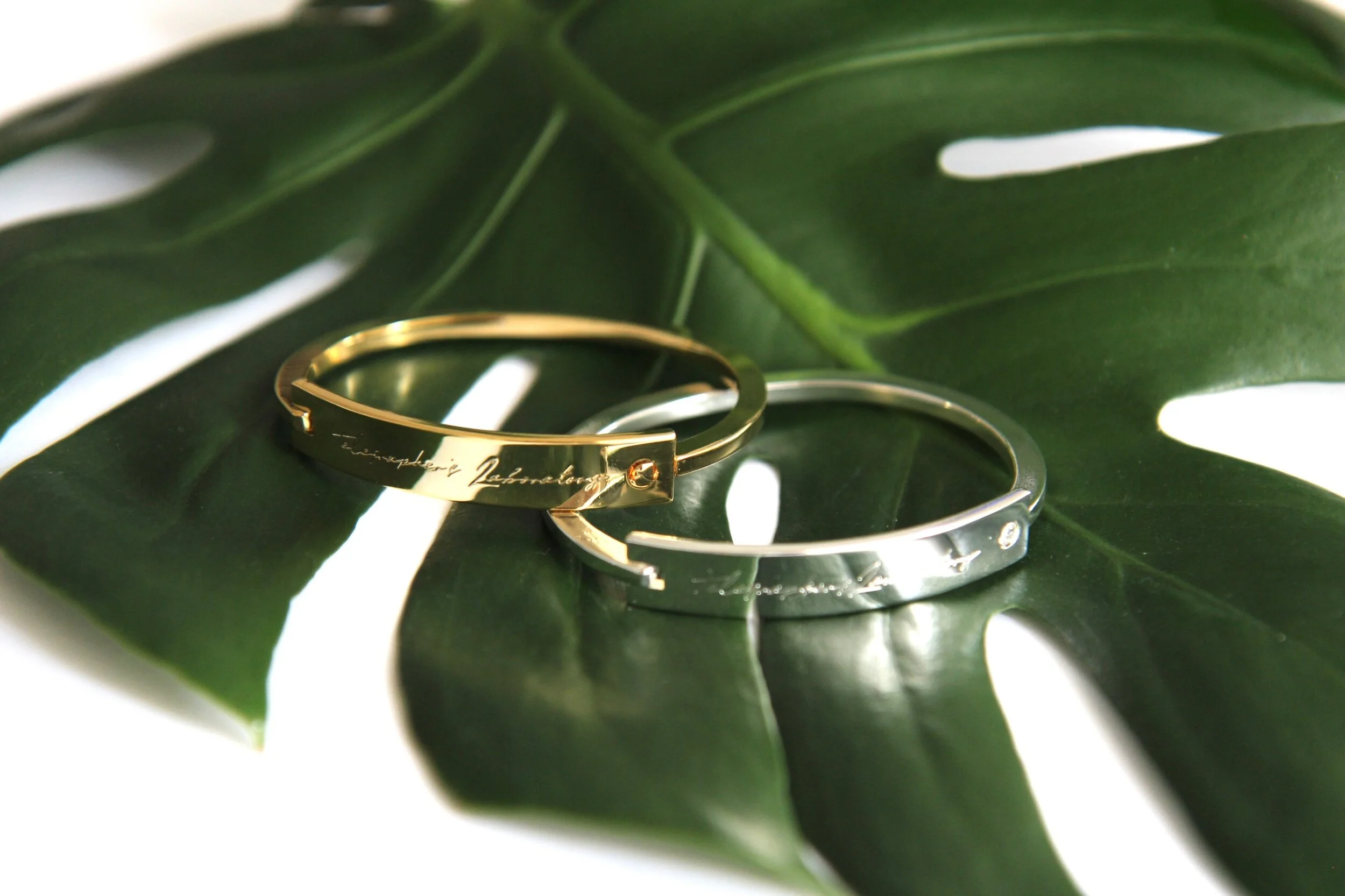 E51F0005-3D6E-4BFA-9FD6-B722E739488E