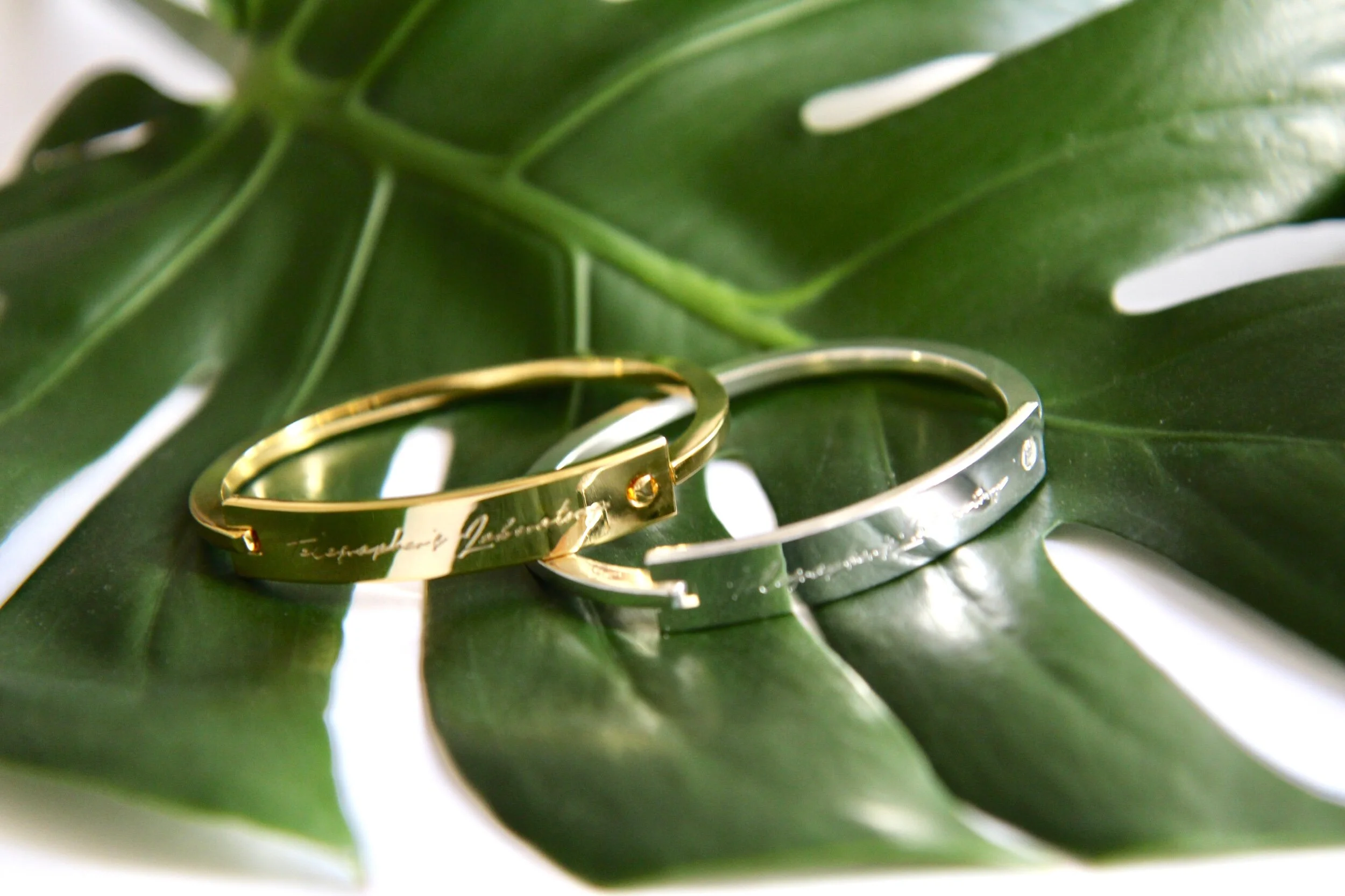 B15B7A47-4D42-4300-8F6F-10390F9CE3E0