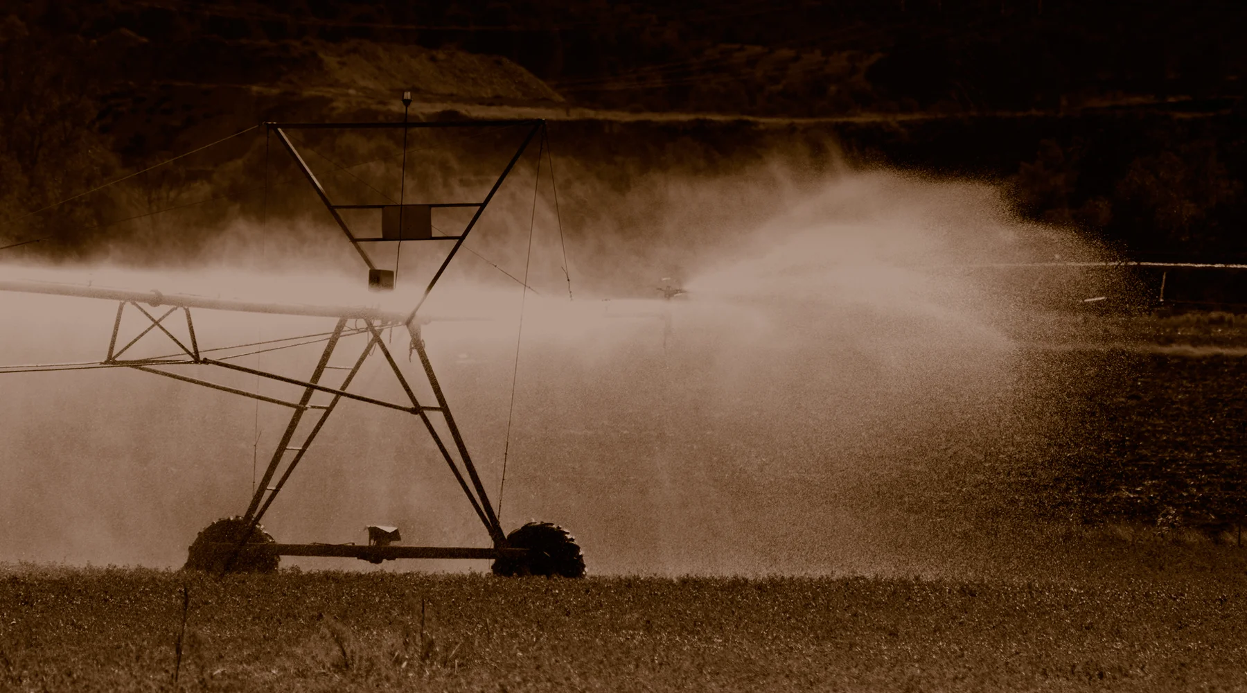 roundup_banner.jpg