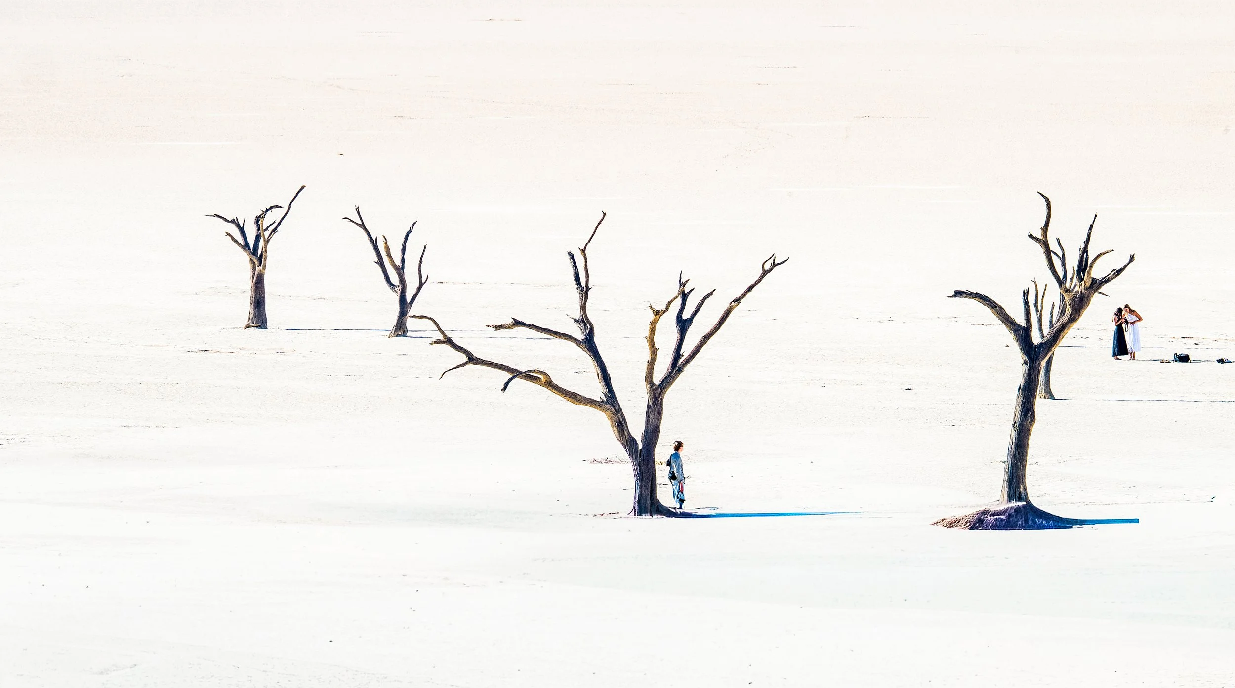 2025_AFRICA_NAMIBIA_KALAHARI DESERT_SAND DUNES_SCENERY_BS-24.jpg