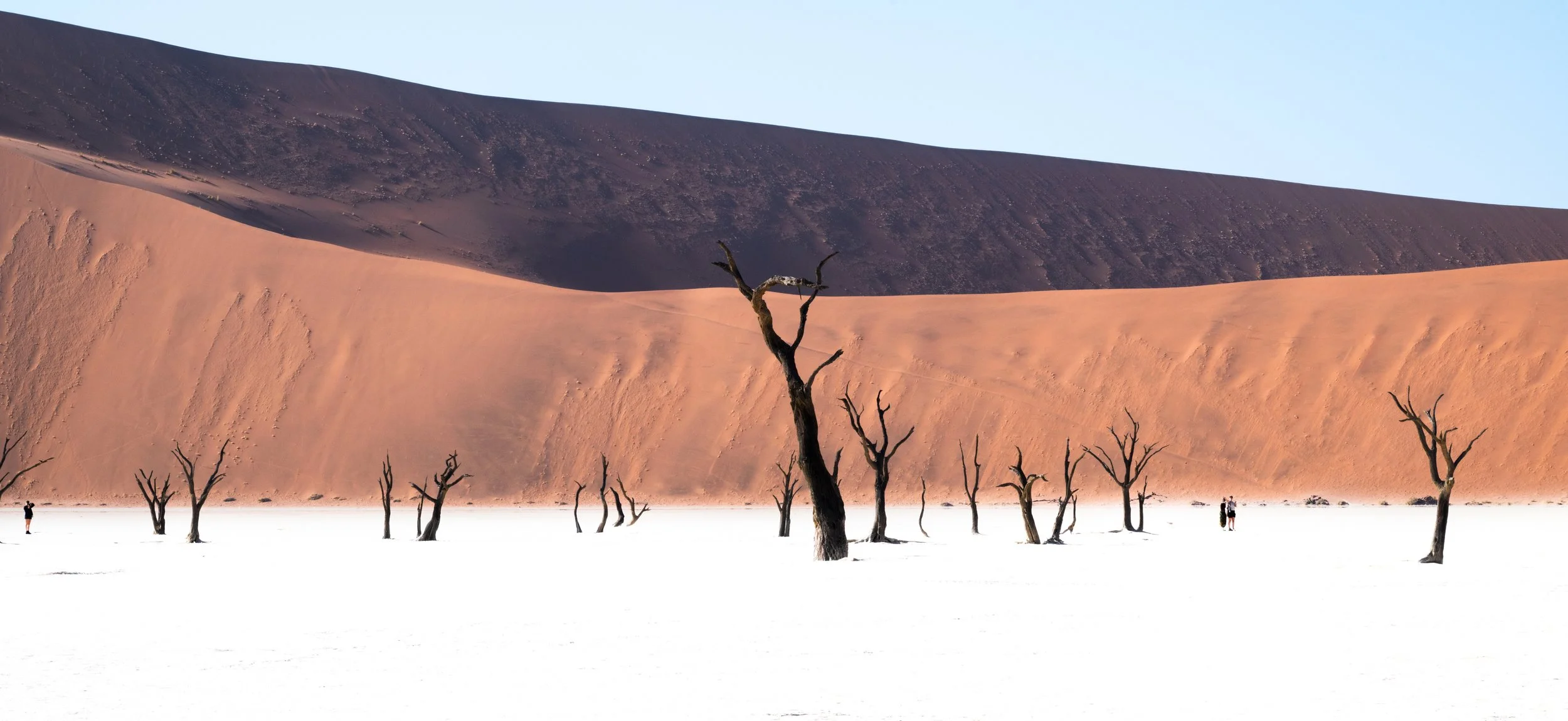 2025_AFRICA_NAMIBIA_KALAHARI DESERT_SAND DUNES_SCENERY_BS-29.jpg