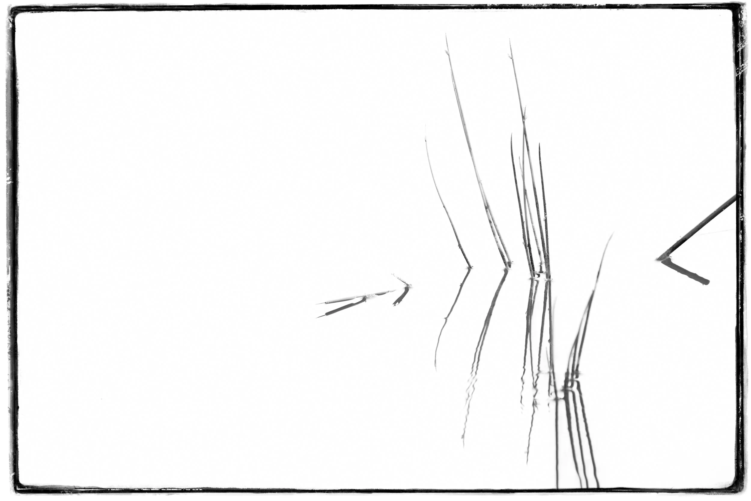 2025_AFRICA_SOUTH AFRICA_LANDSCAPE_WATER GRASS_BC-1.jpg