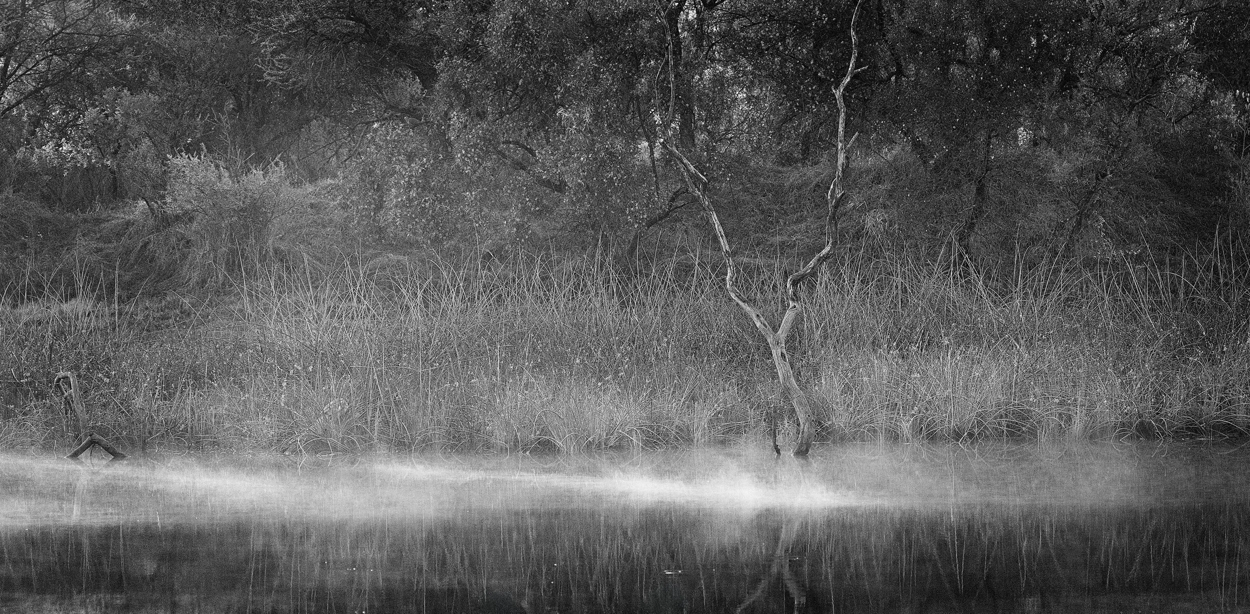 2025_AFRICA_SOUTH AFRICA_UKUTULA WILDLIFE REFUGE_LANDSCAPE_BC-6.jpg