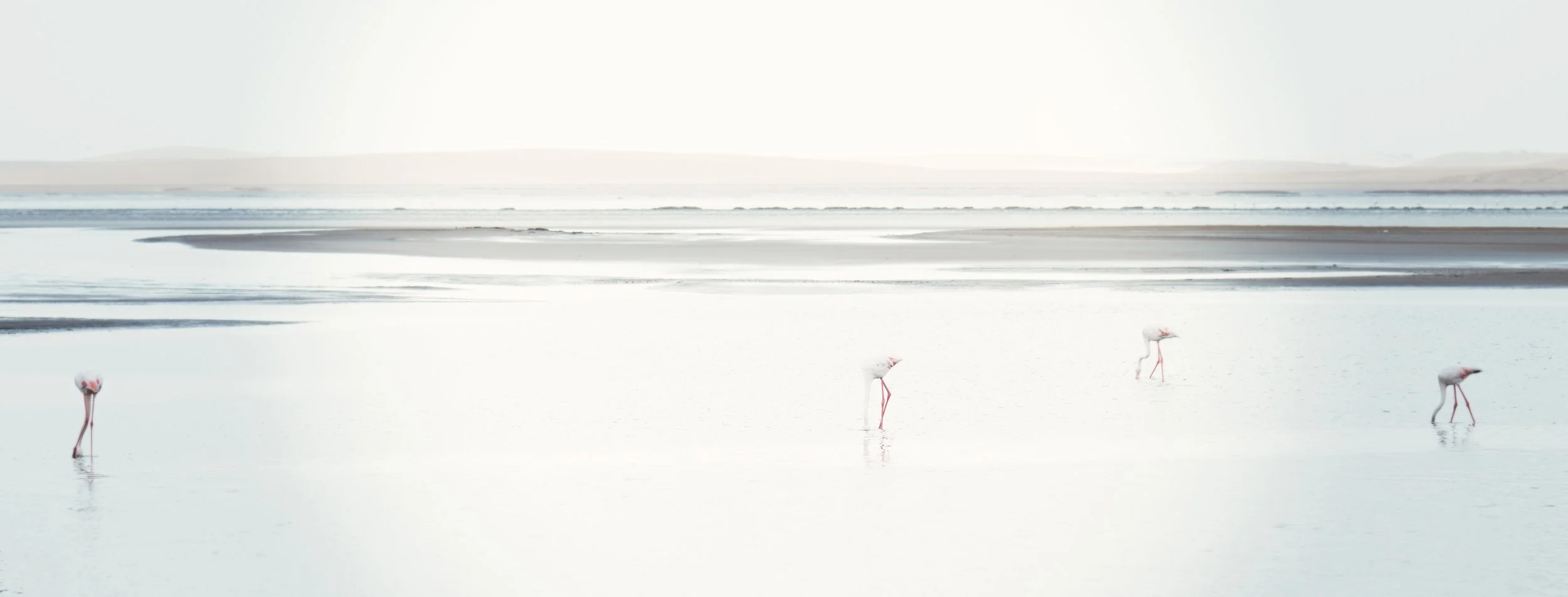 "Evening on the Skeleton Coast"