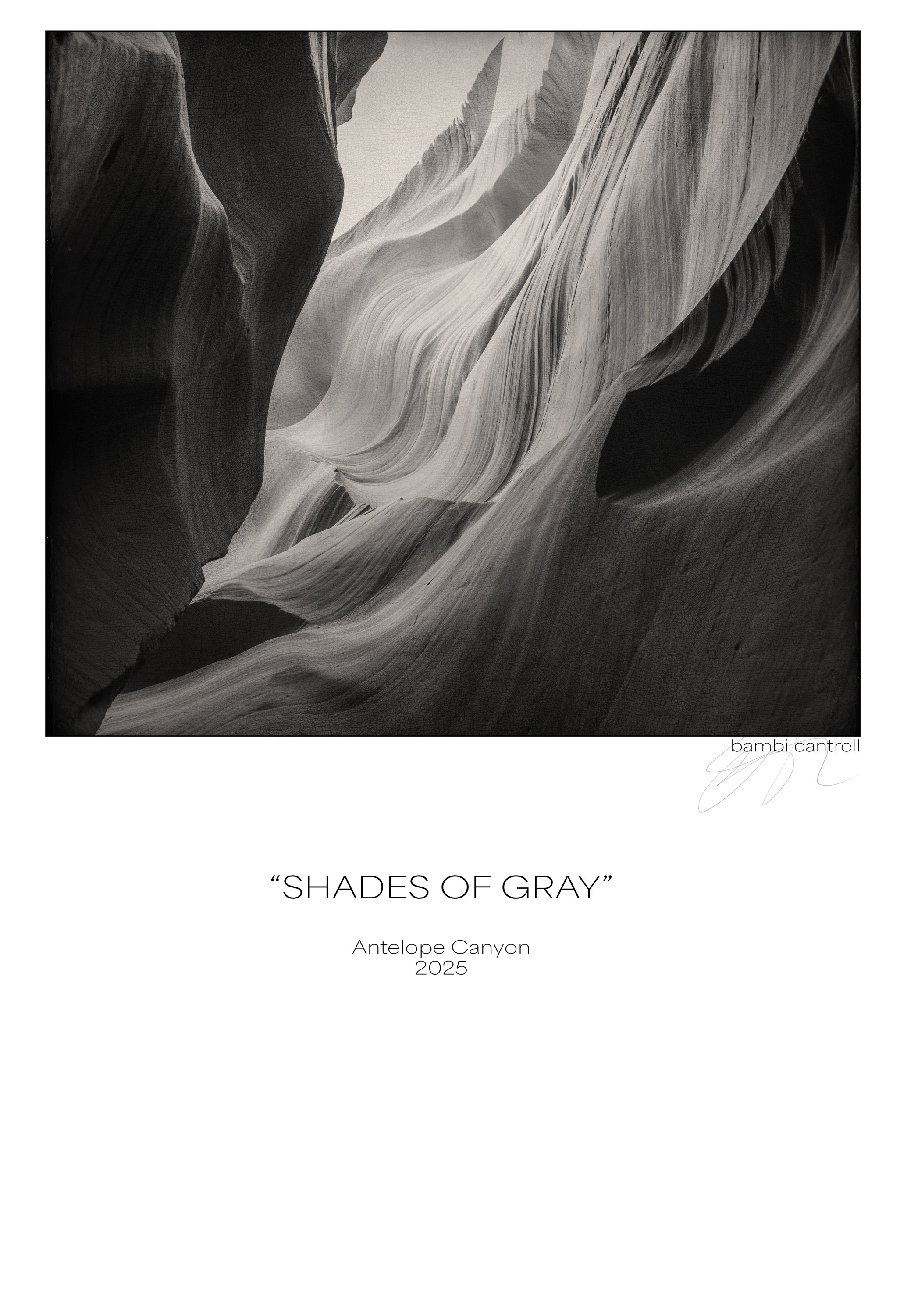 SHADESOFGRAY copy.jpg