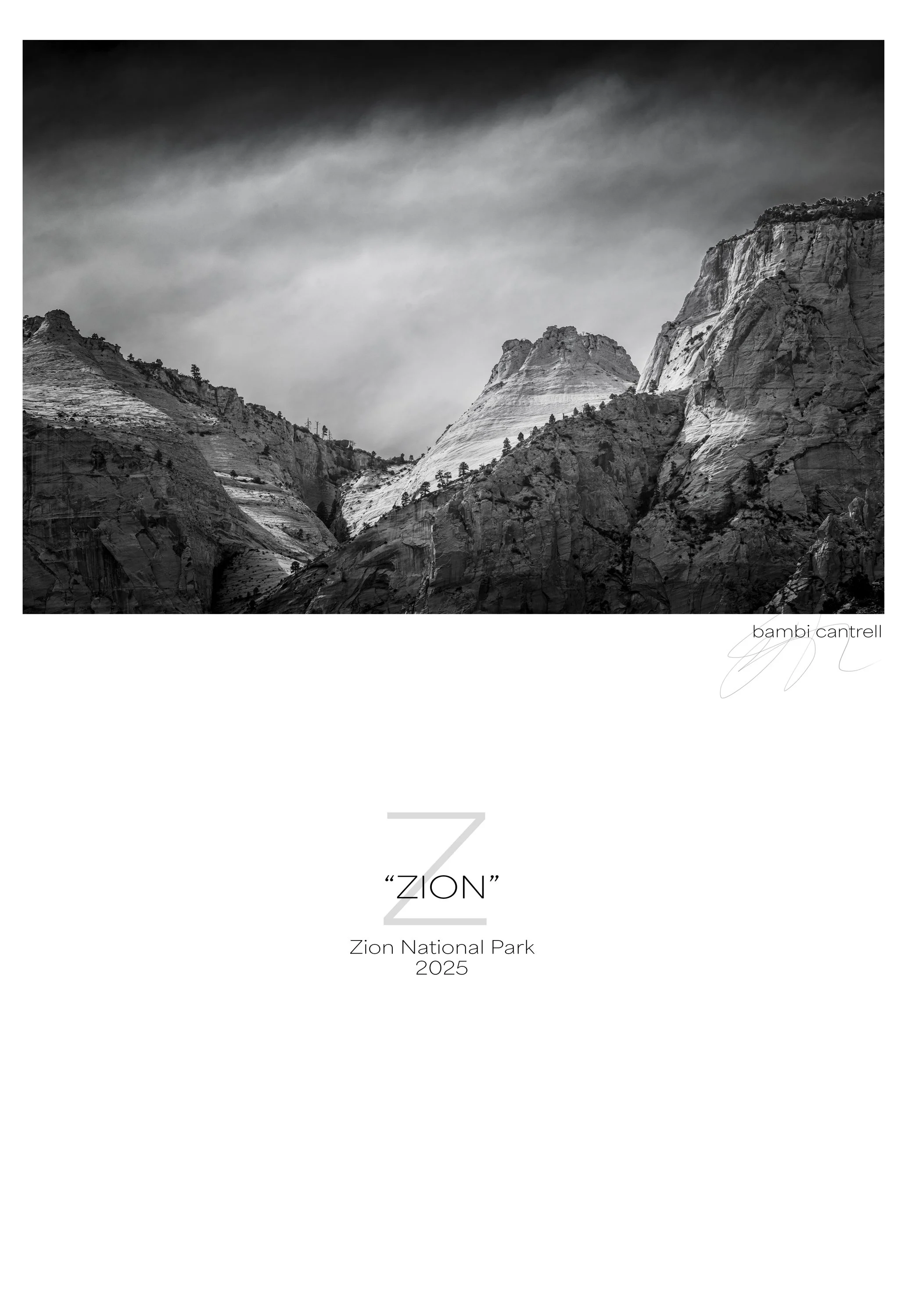 zion copy.jpg