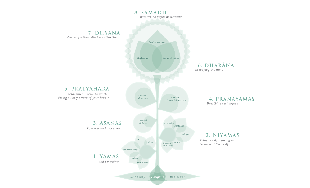 8limbs_full_eng4.png