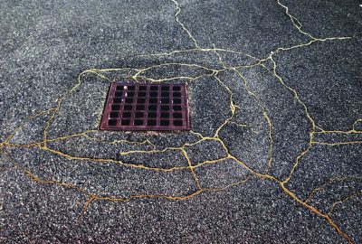 Rachel Sussman via Ignant