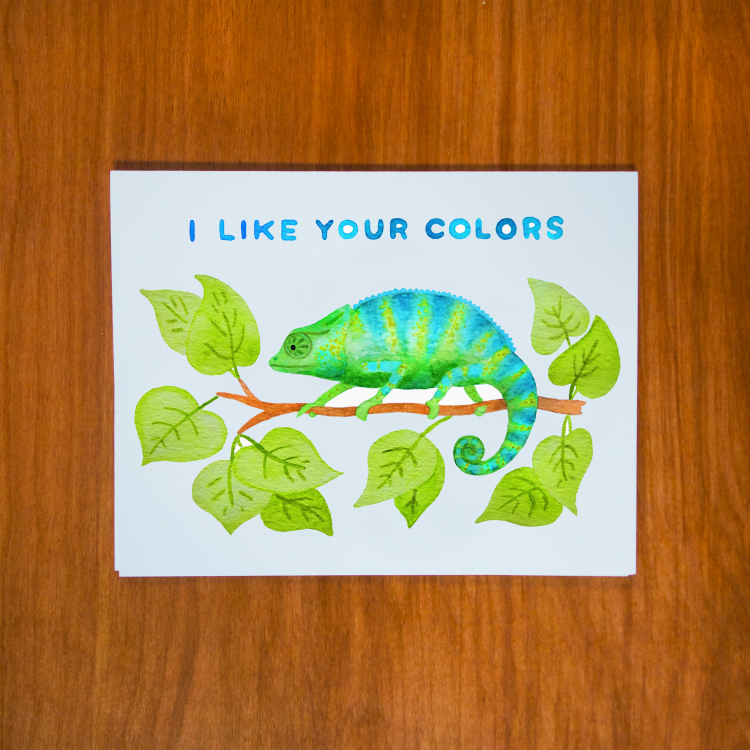 Colors