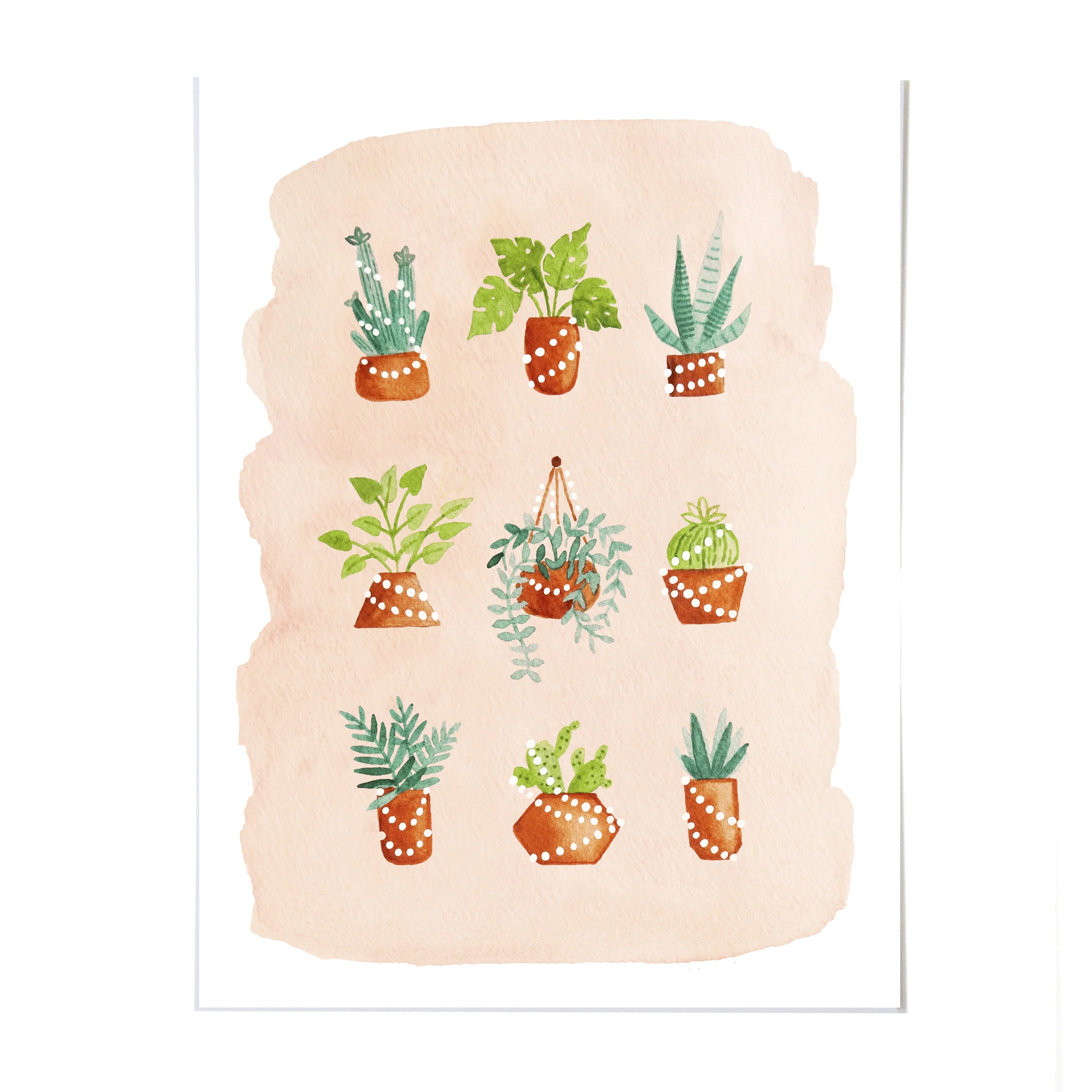 Plants