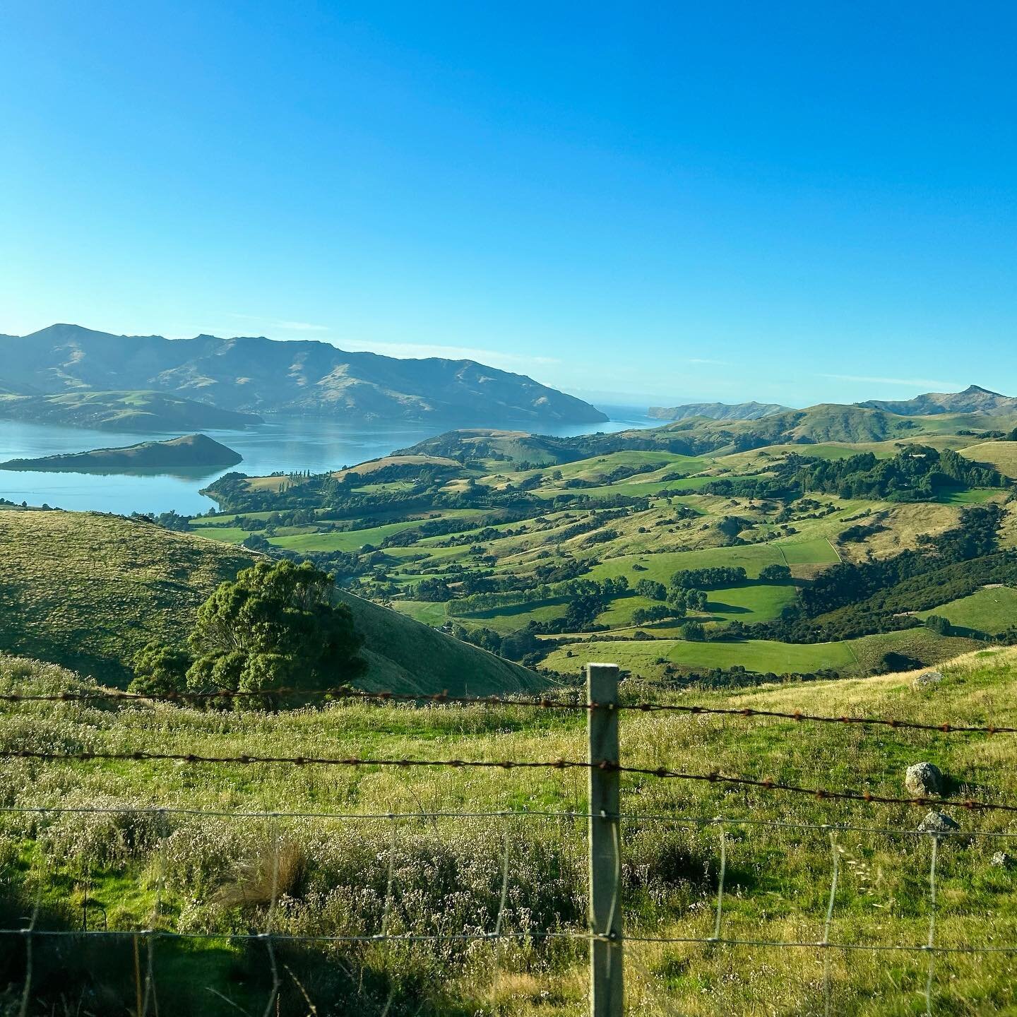 New Zealand solo adventure part 4: Nelson, Kaikōura, and Christchurch. Charm after charm to close out my time in the most beautiful little country I&rsquo;ve ever seen. Til next time, Fairytaleland.