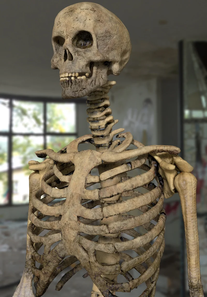 skeletonMidShot.jpg