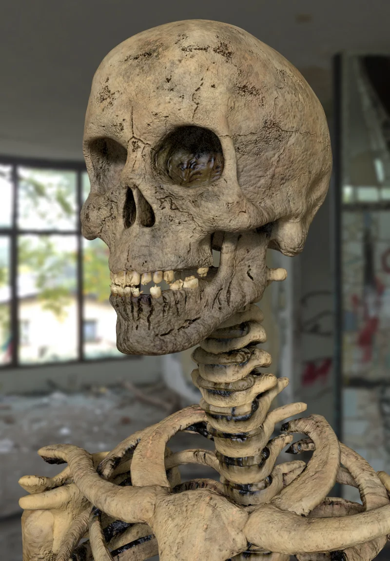 skeletonCloseUp.jpg