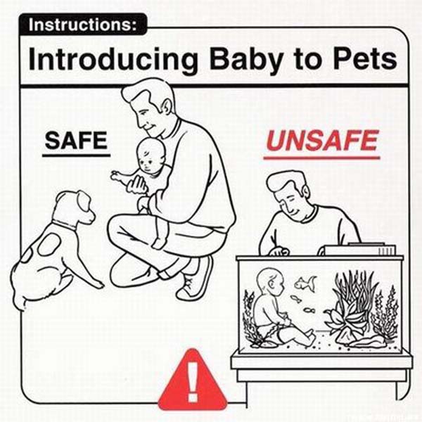baby-safety-manual-11.jpg